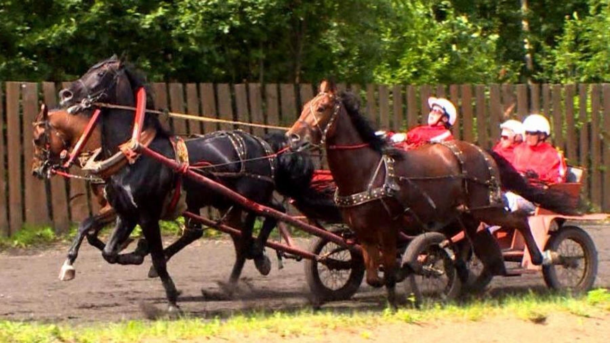 Тройка из Архангельской области заняла третье место на Чемпионате "Крылатое сердце России" в Подмосковье