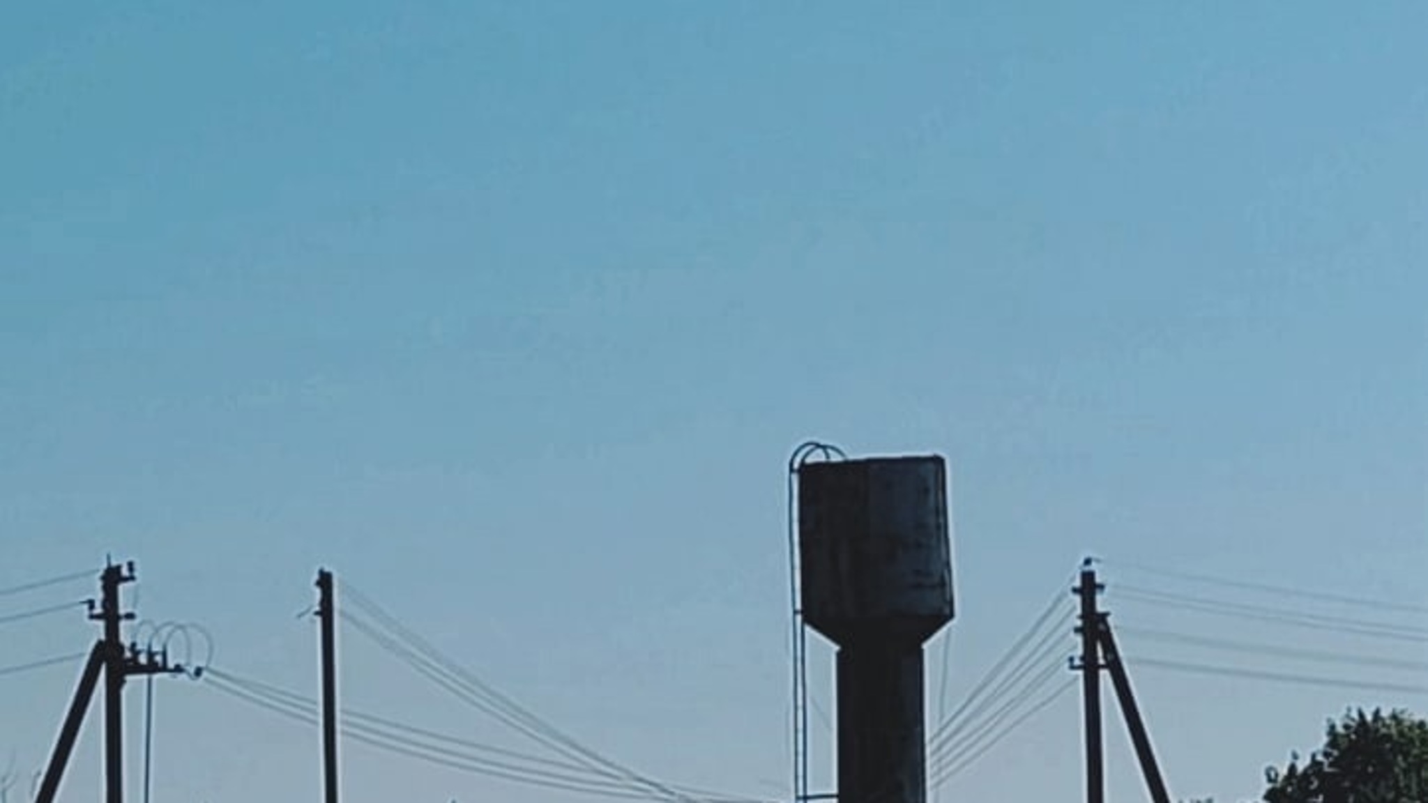 Молодой аист упал в водонапорную башню в Новосокольническом районе