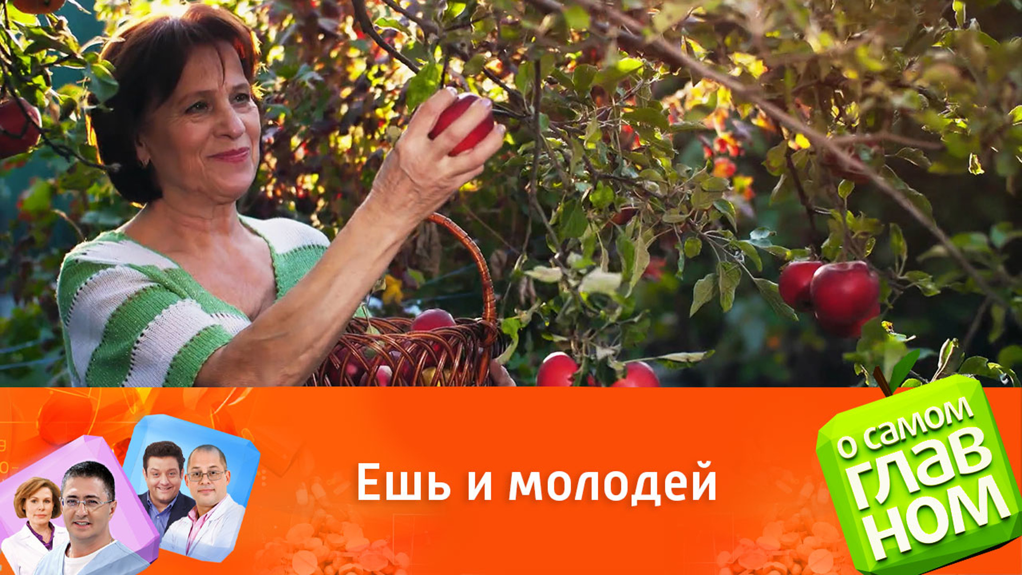 Польза яблок для организма