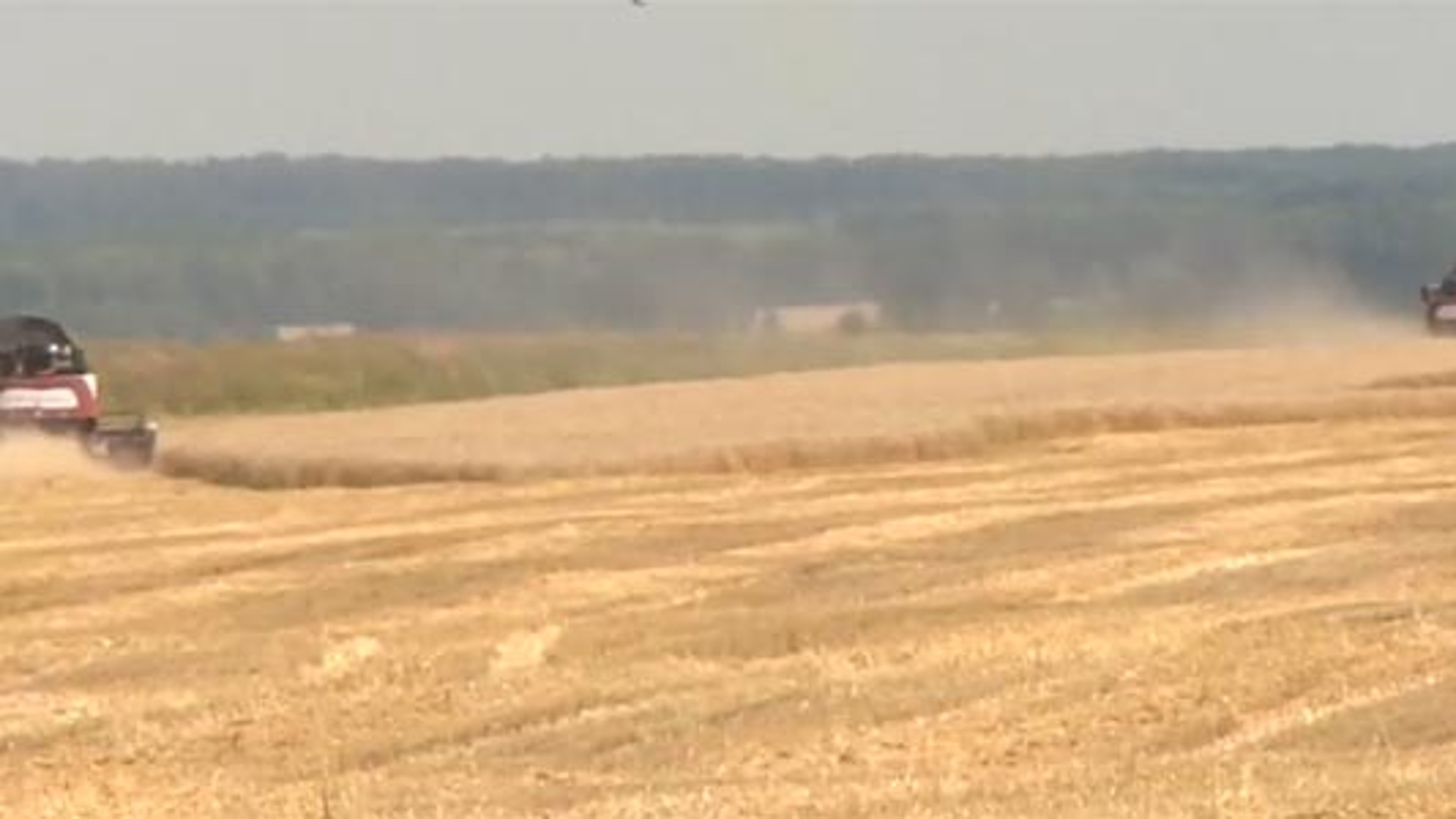 В Пензенской области аграрии начали сеять озимые