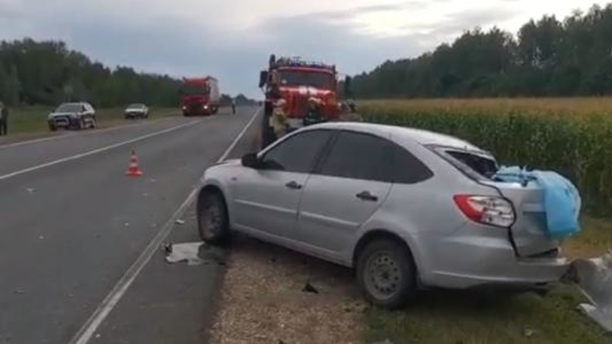 На трассе под Пензой 18 августа погиб молодой мужчина