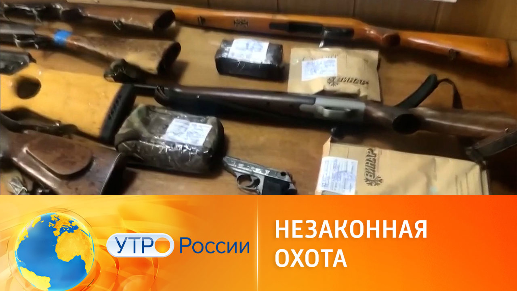 Как в России борются с незаконной охотой