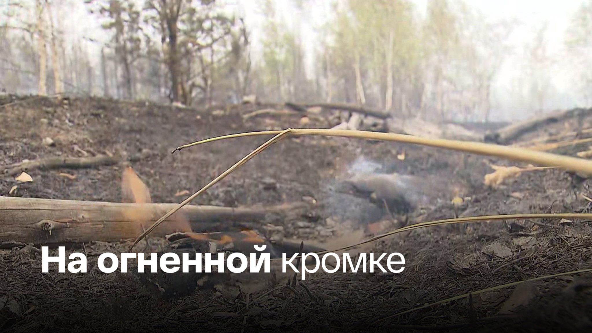 Рязанские леса горят из-за "сухой" грозы