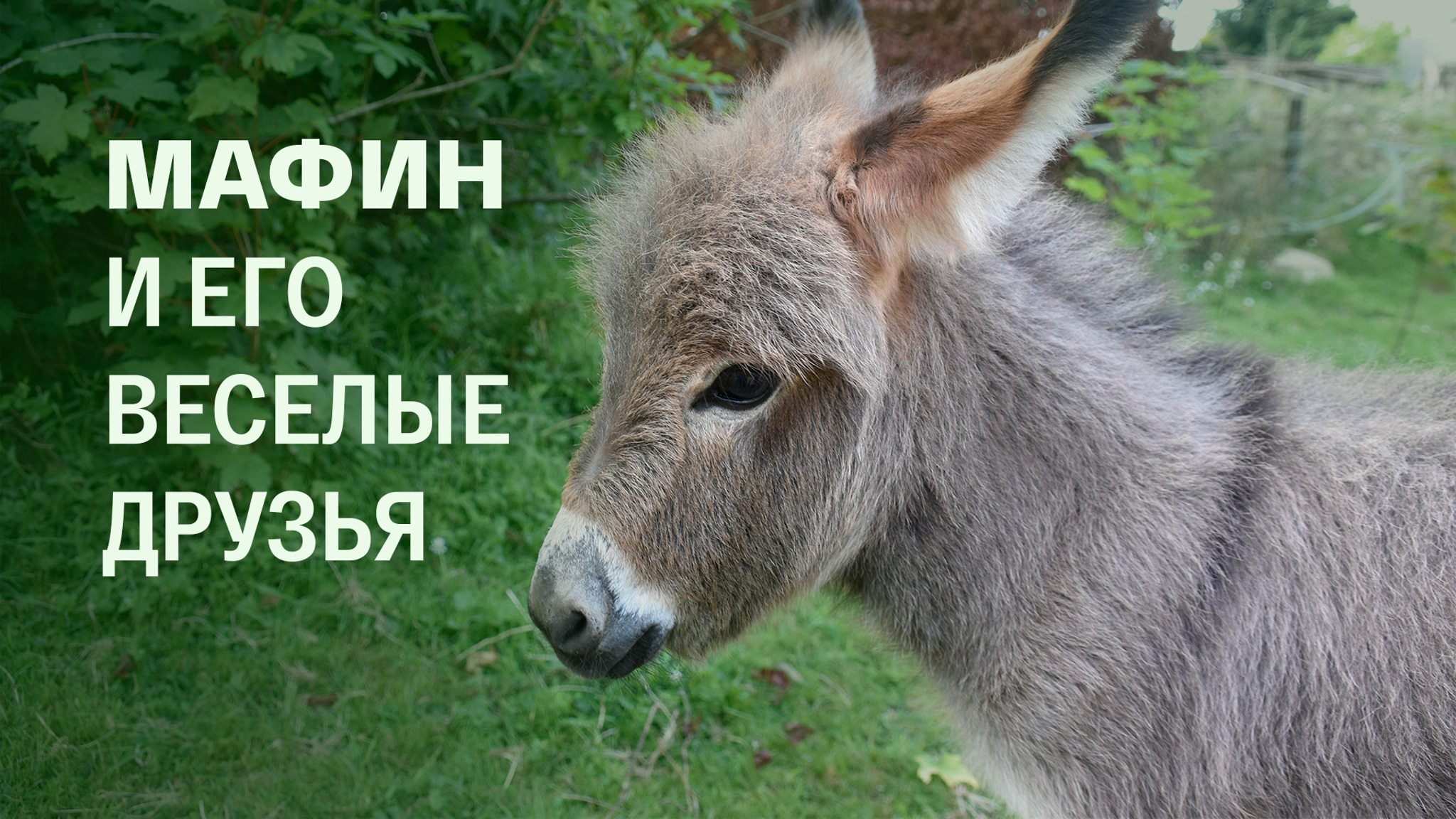 Мафин и его веселые друзья