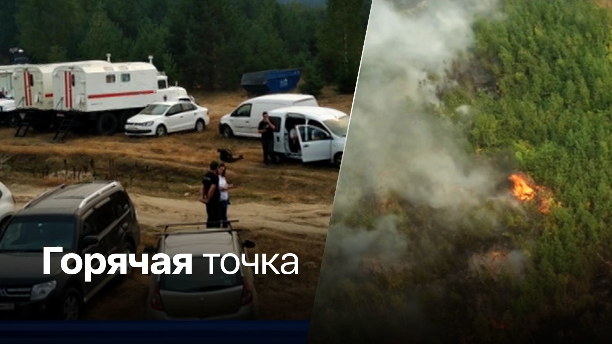 Жителей Рязанской области просят не ходить в лес на шашлыки