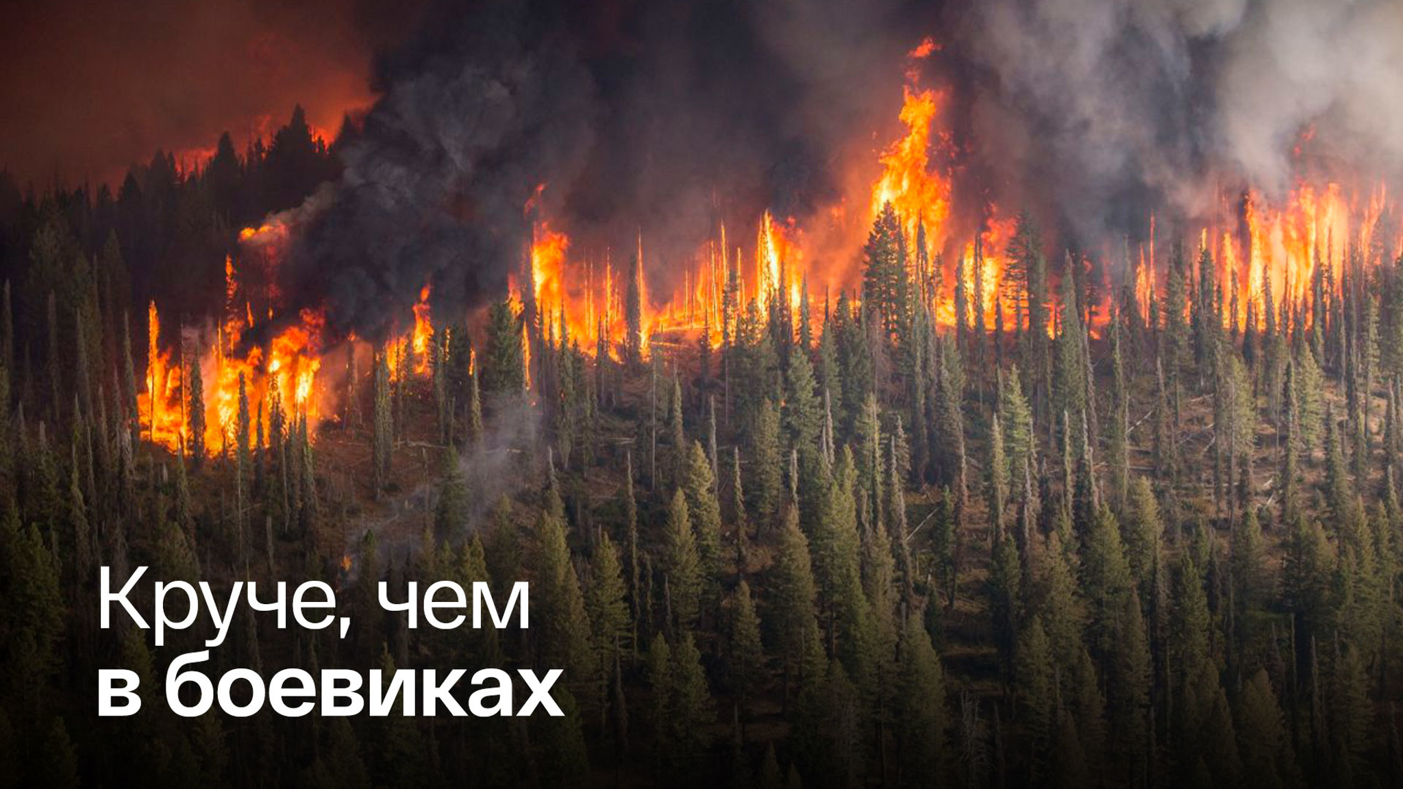 Пожарные эпично проехали сквозь рязанское пекло