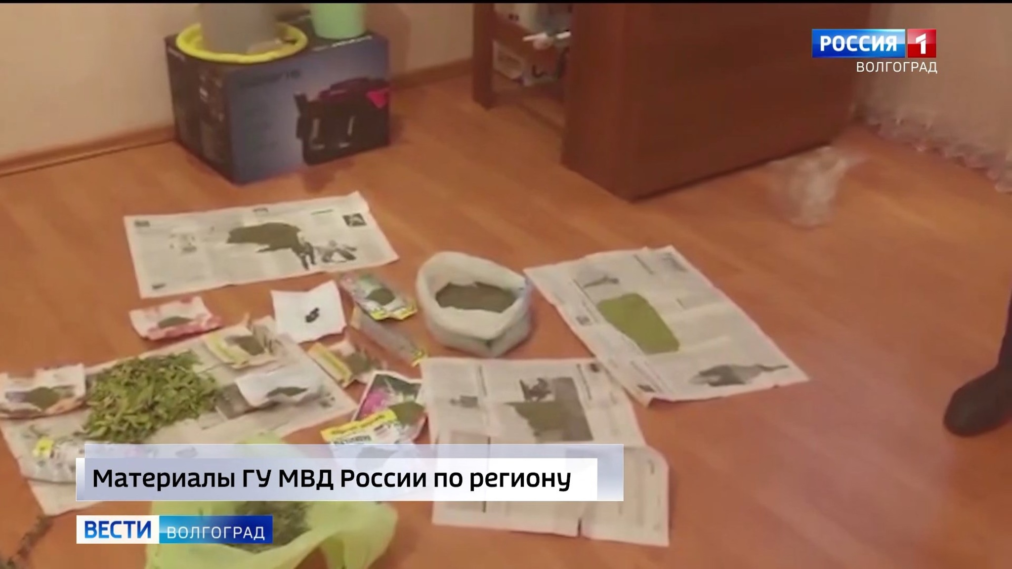 Волгоградские полицейские обнаружили у пенсионера плантацию конопли