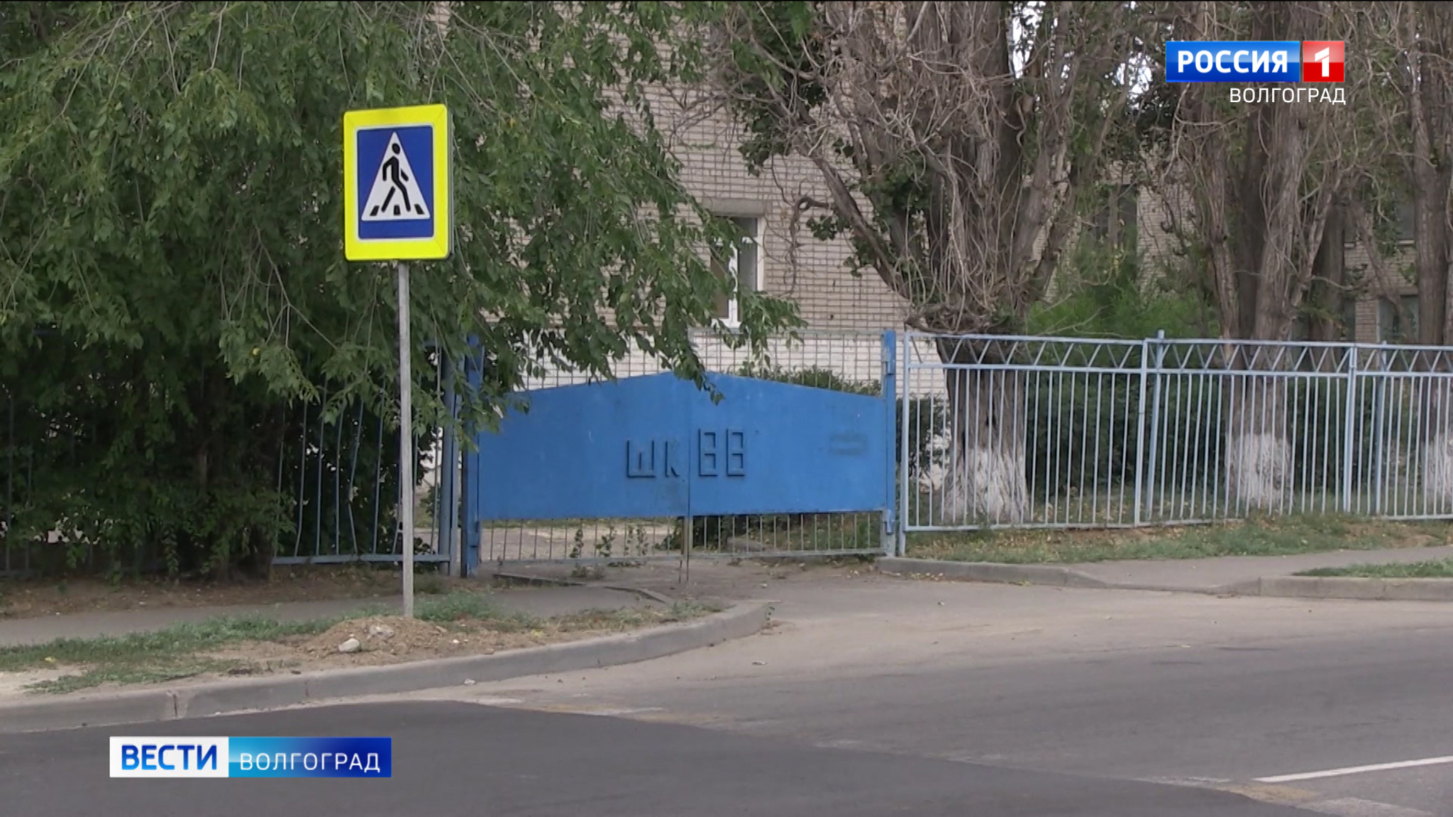 В Волгоградской области усилят профилактику детского дорожного травматизма
