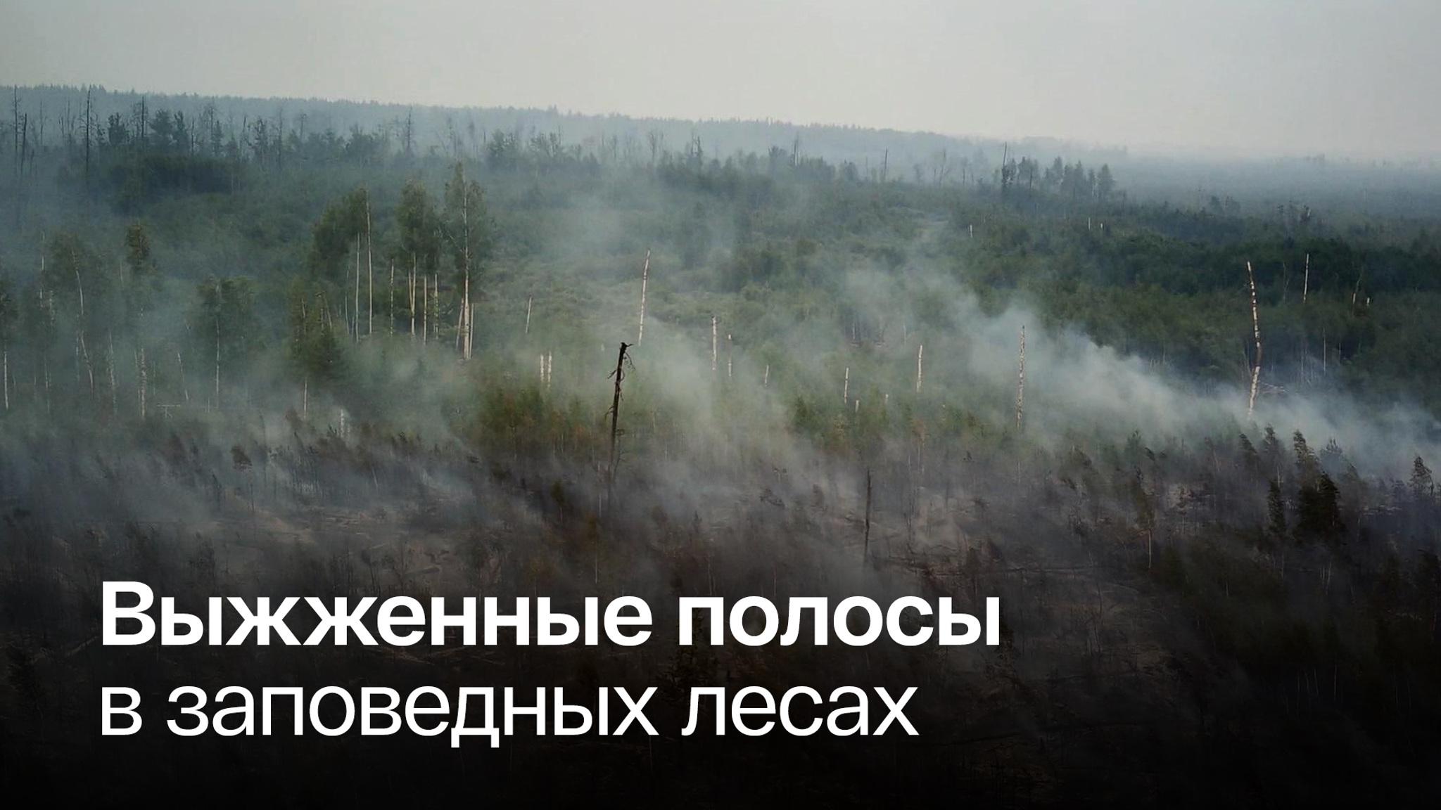 Из-за жары в Рязанской области могут возникнуть новые пожары