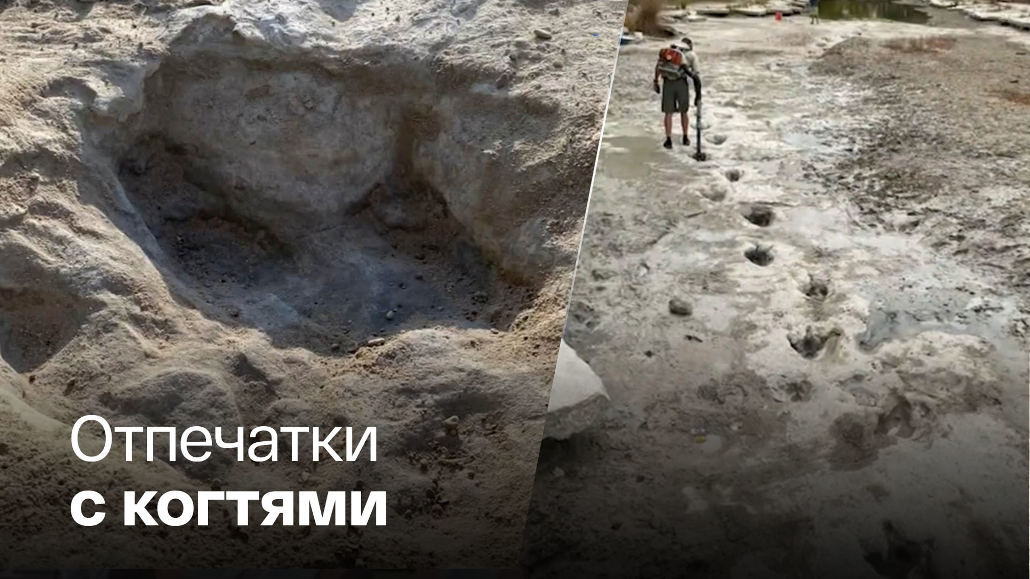 Из-за жары в Техасе смогли увидеть следы динозавров