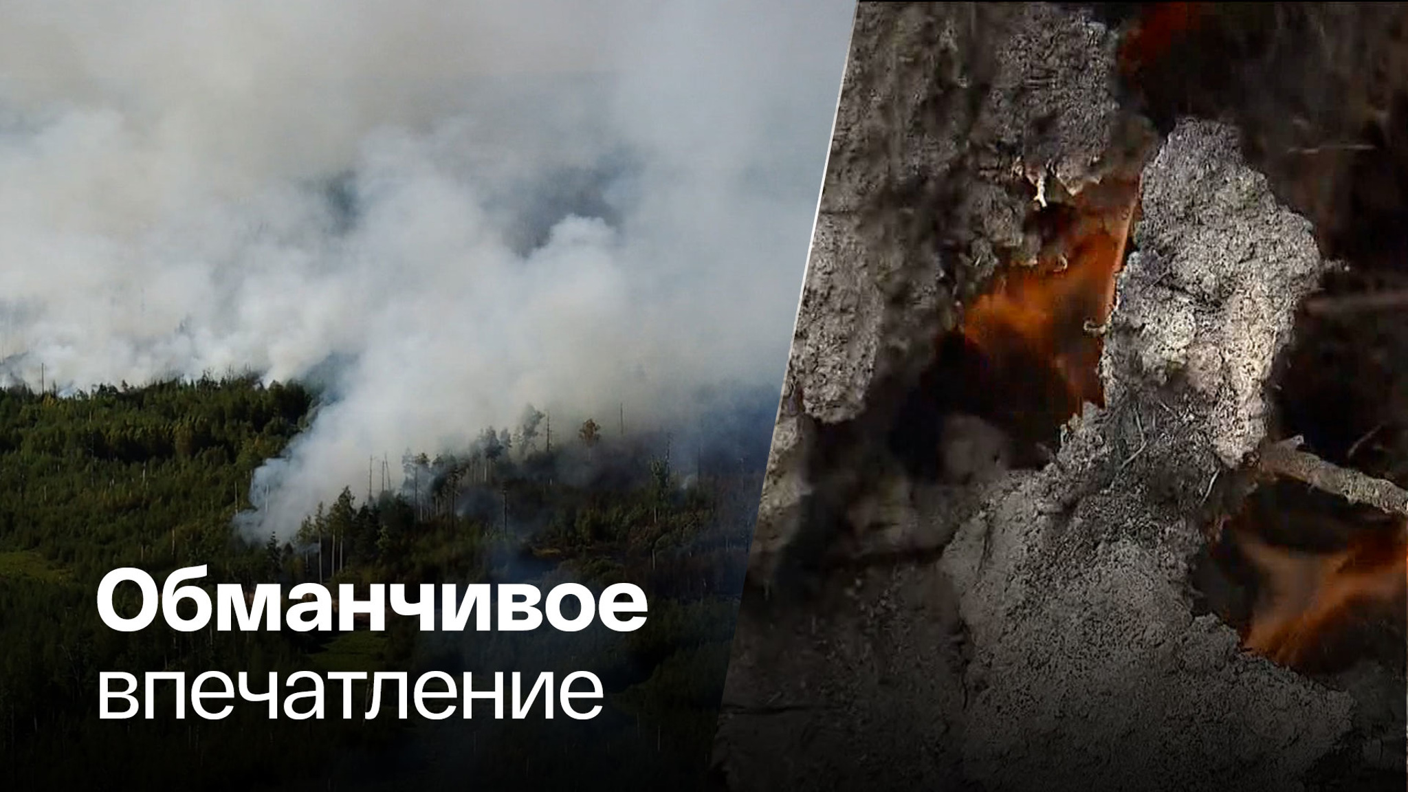 Торфяники потушили, но они продолжают гореть под землей