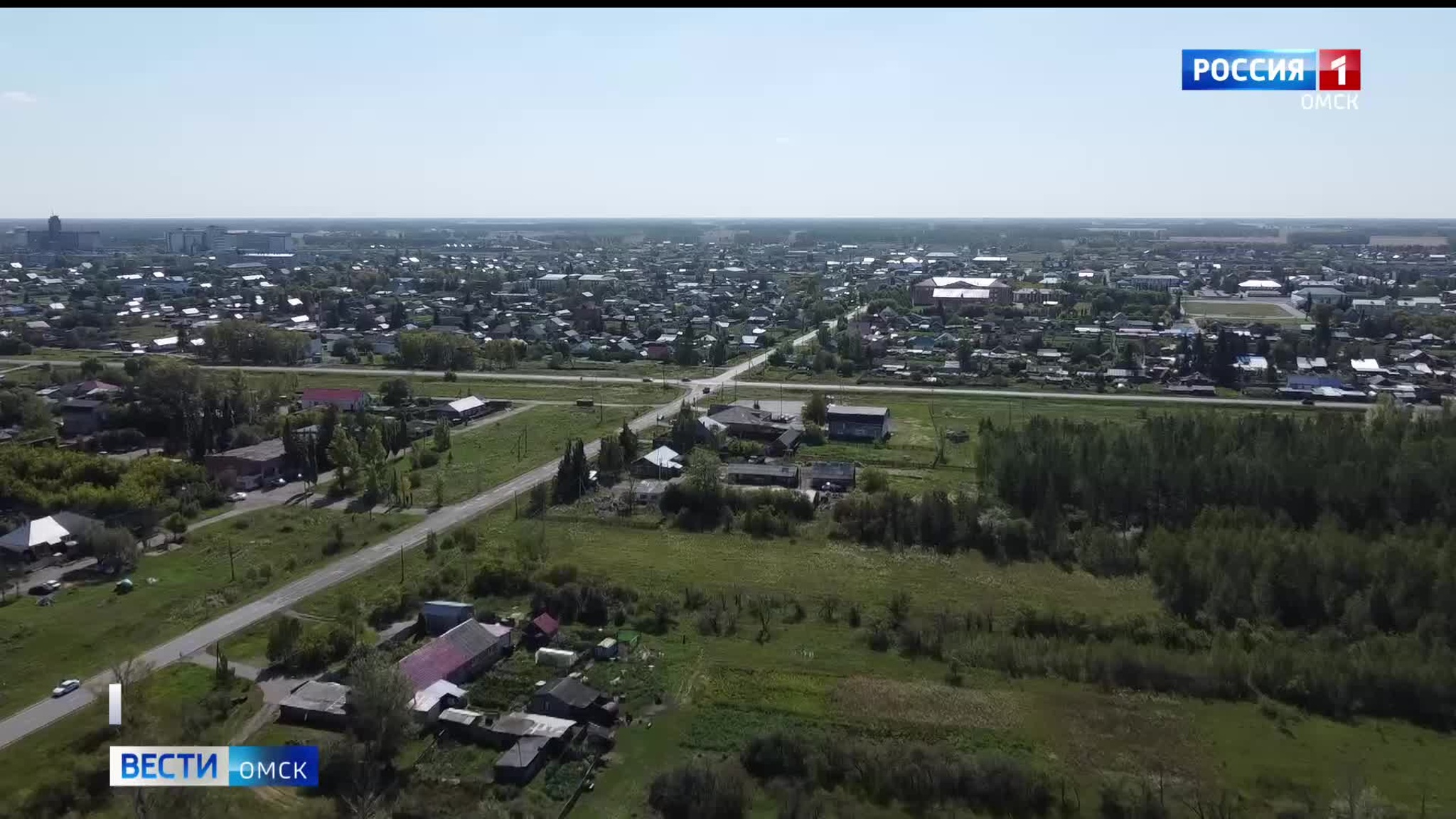 В Омской области стая волков терроризирует целый район