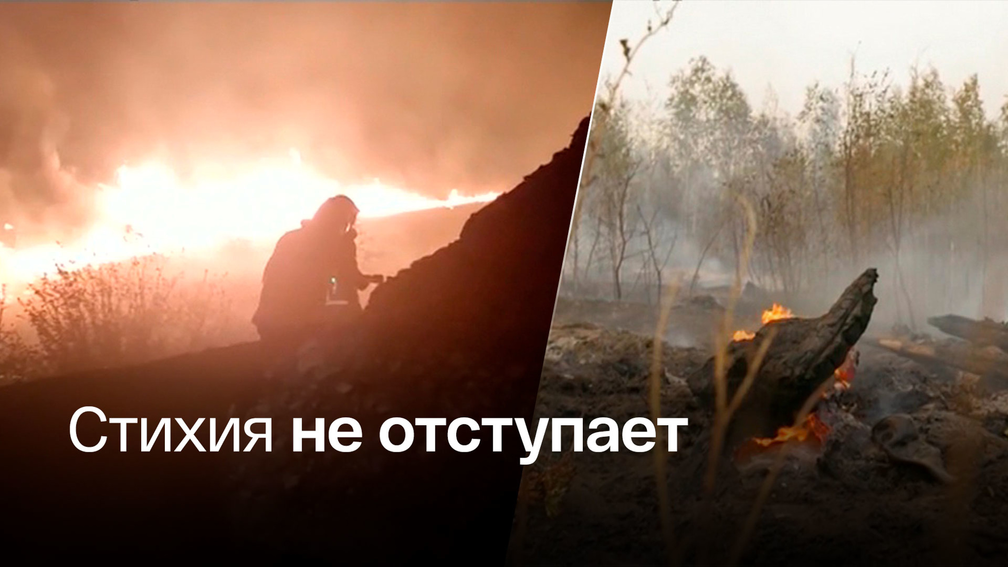 Площадь природных пожаров в РФ за сутки выросла на 12 тысяч гектаров