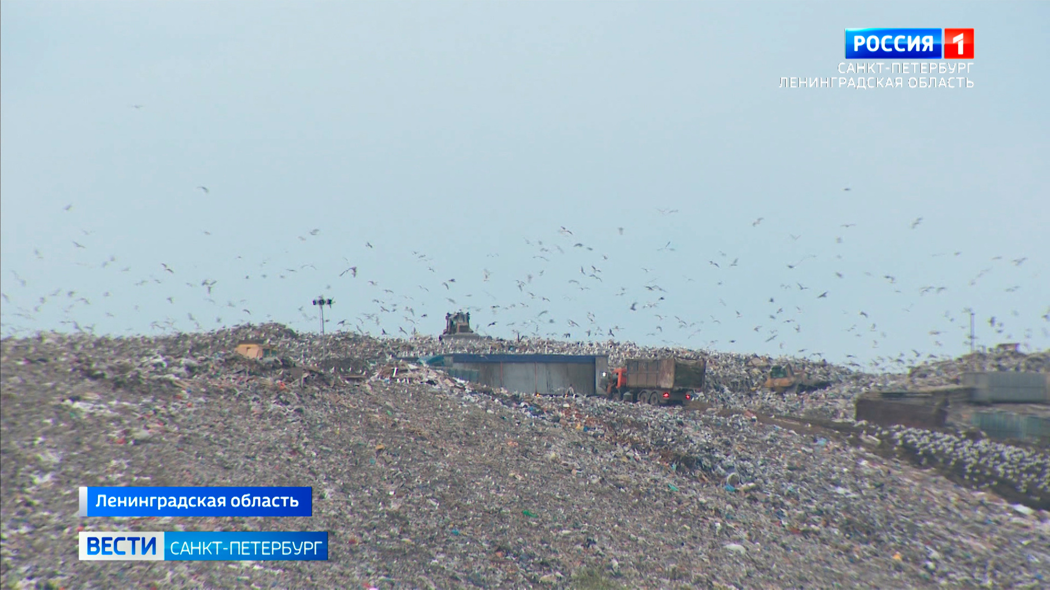 Едкий запах бытового газа отравляет жизнь жителям Гатчины