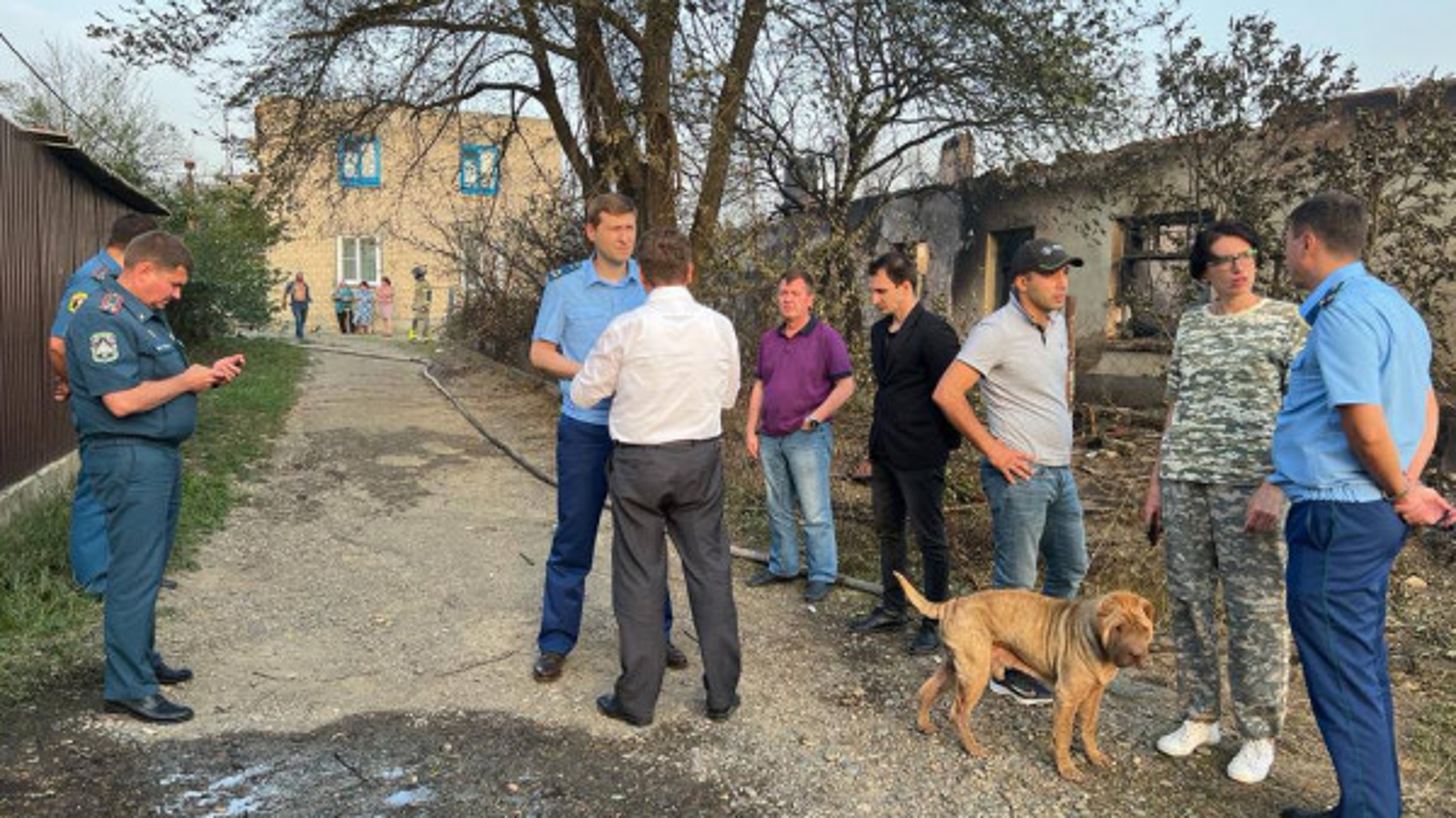 Прокуратура проводит проверку из-за пожара вблизи Сенгилеевского водохранилища