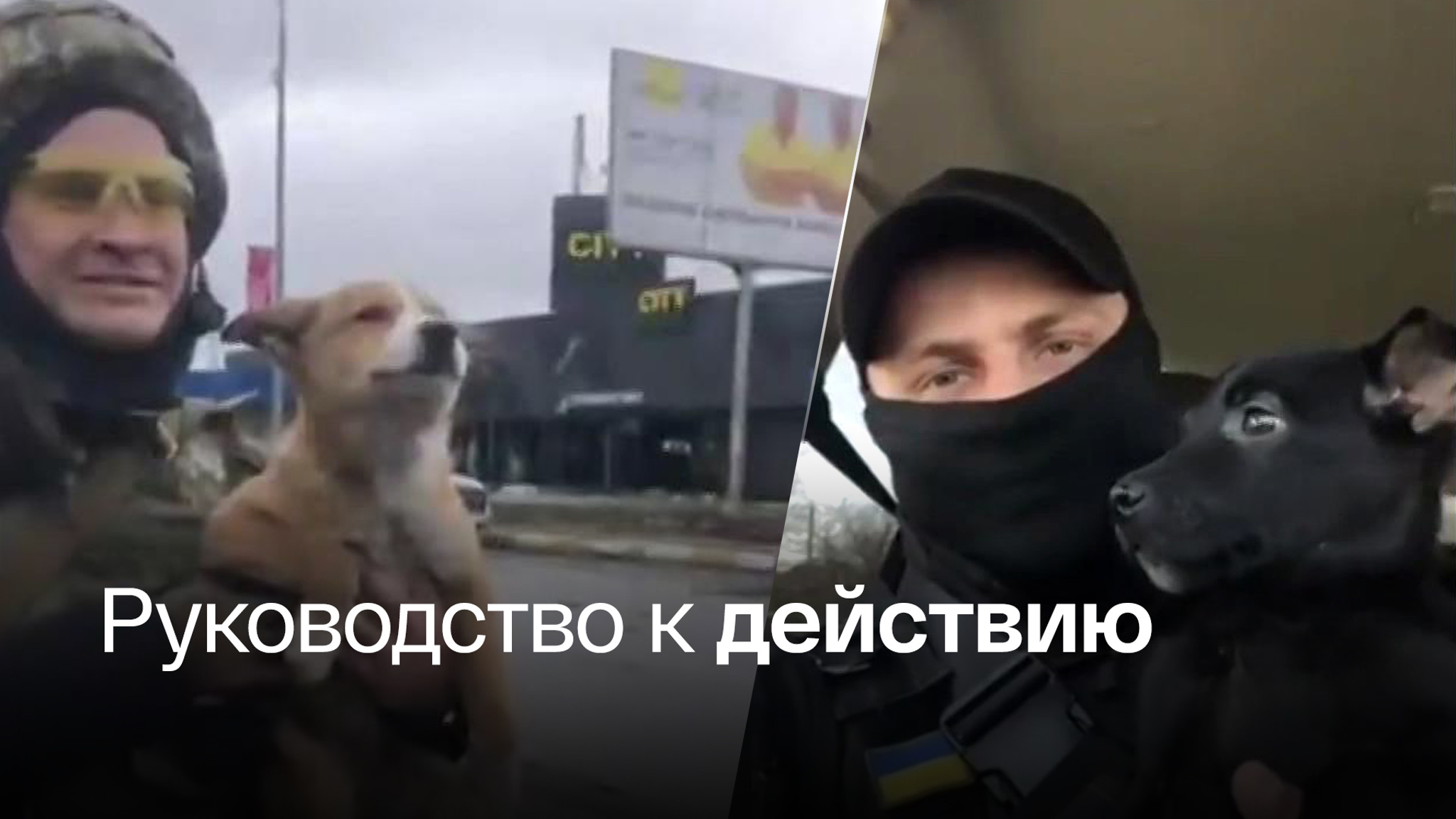 США придумали, как очеловечить киевский режим