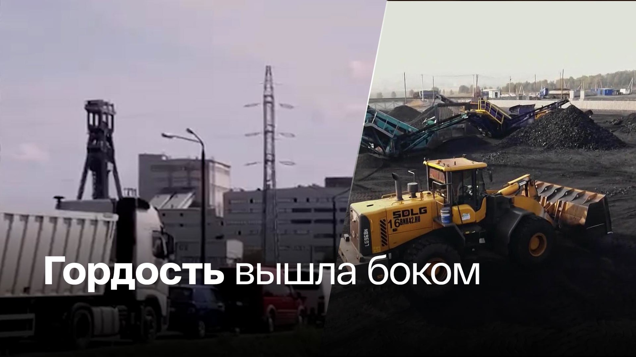 Поляки выстроились в очередь за углем