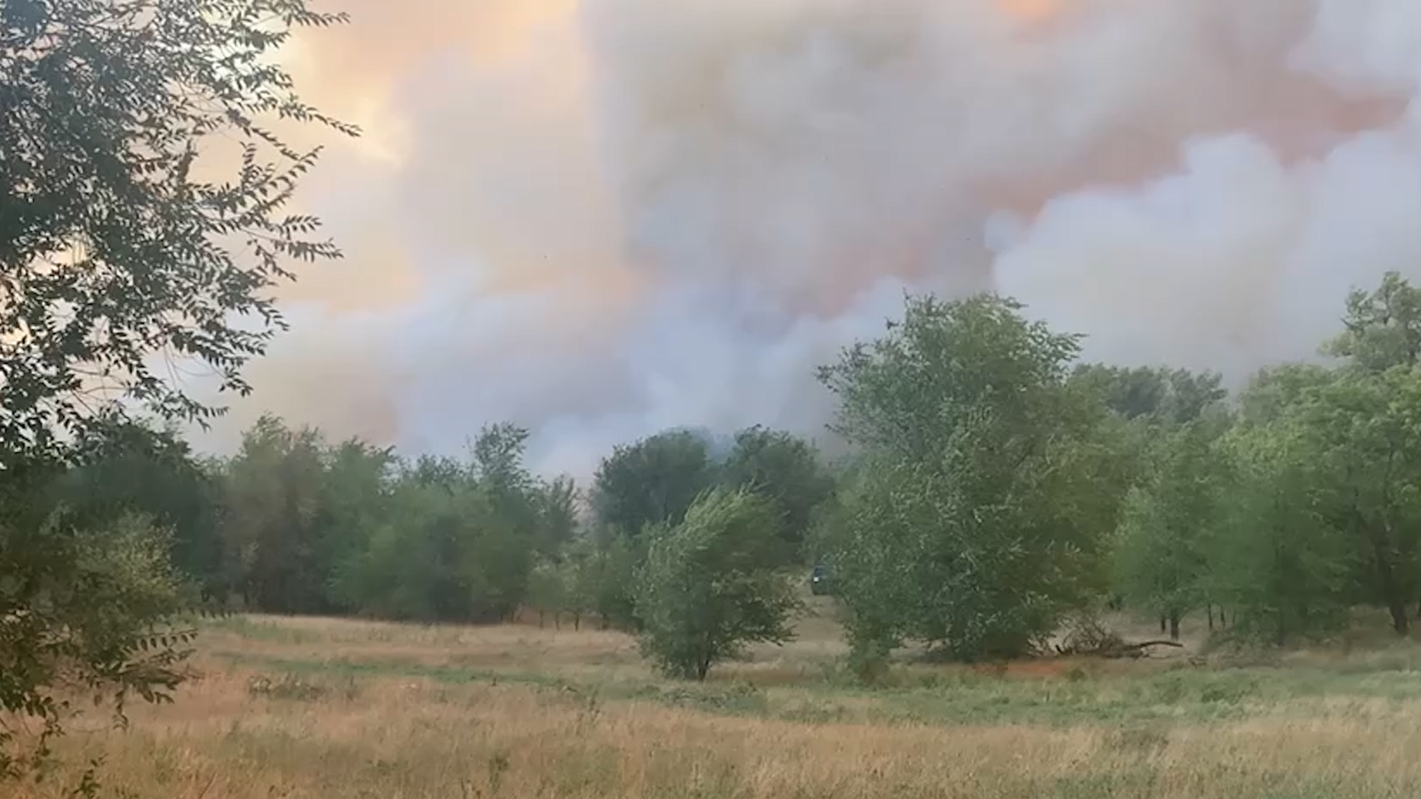 Погиб, спасая детский лагерь: в Волгоградской области пожар унес жизнь сотрудника райадминистрации