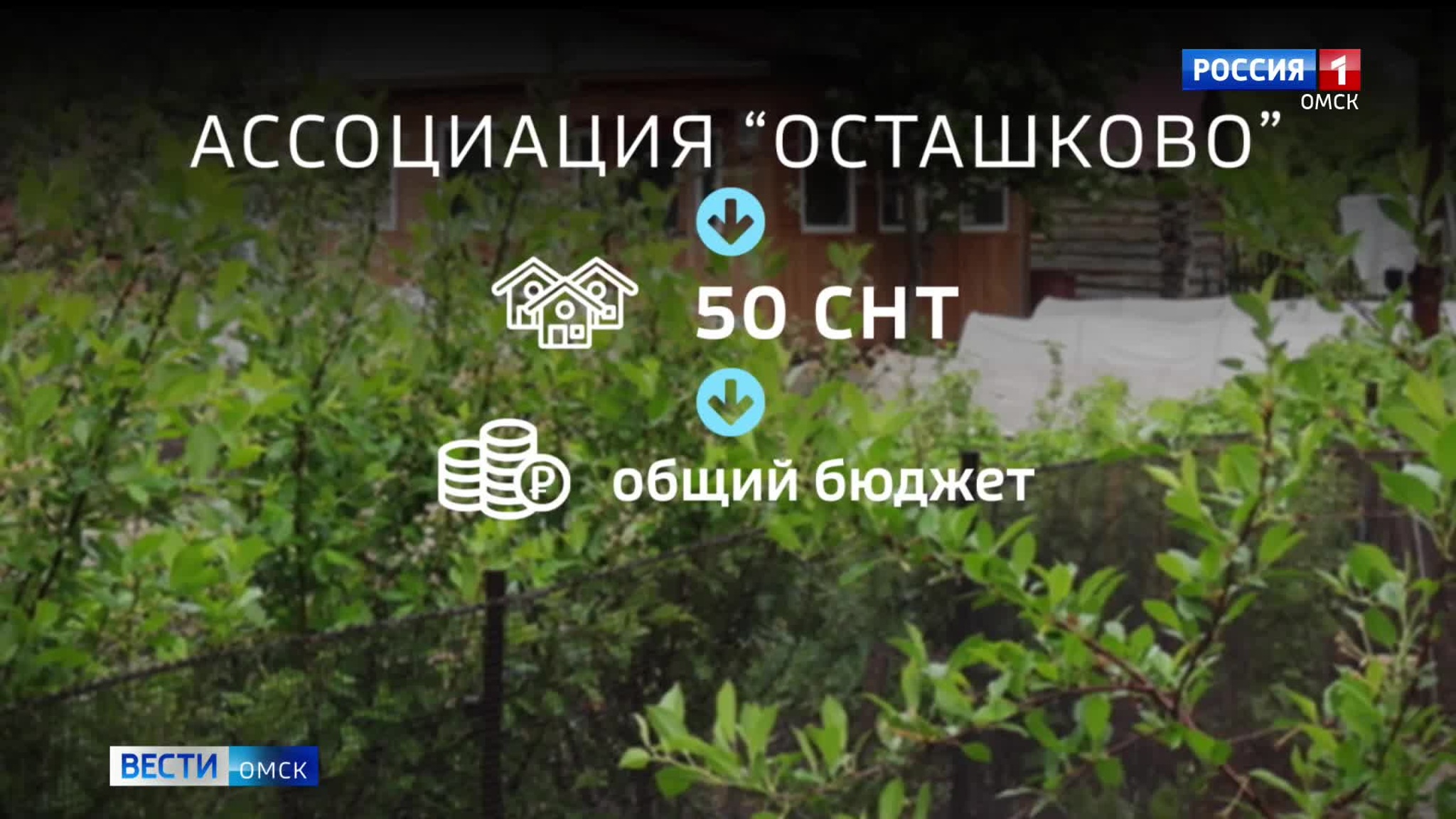 Омские дачники "Осташково" задолжали 19 млн рублей за электричество