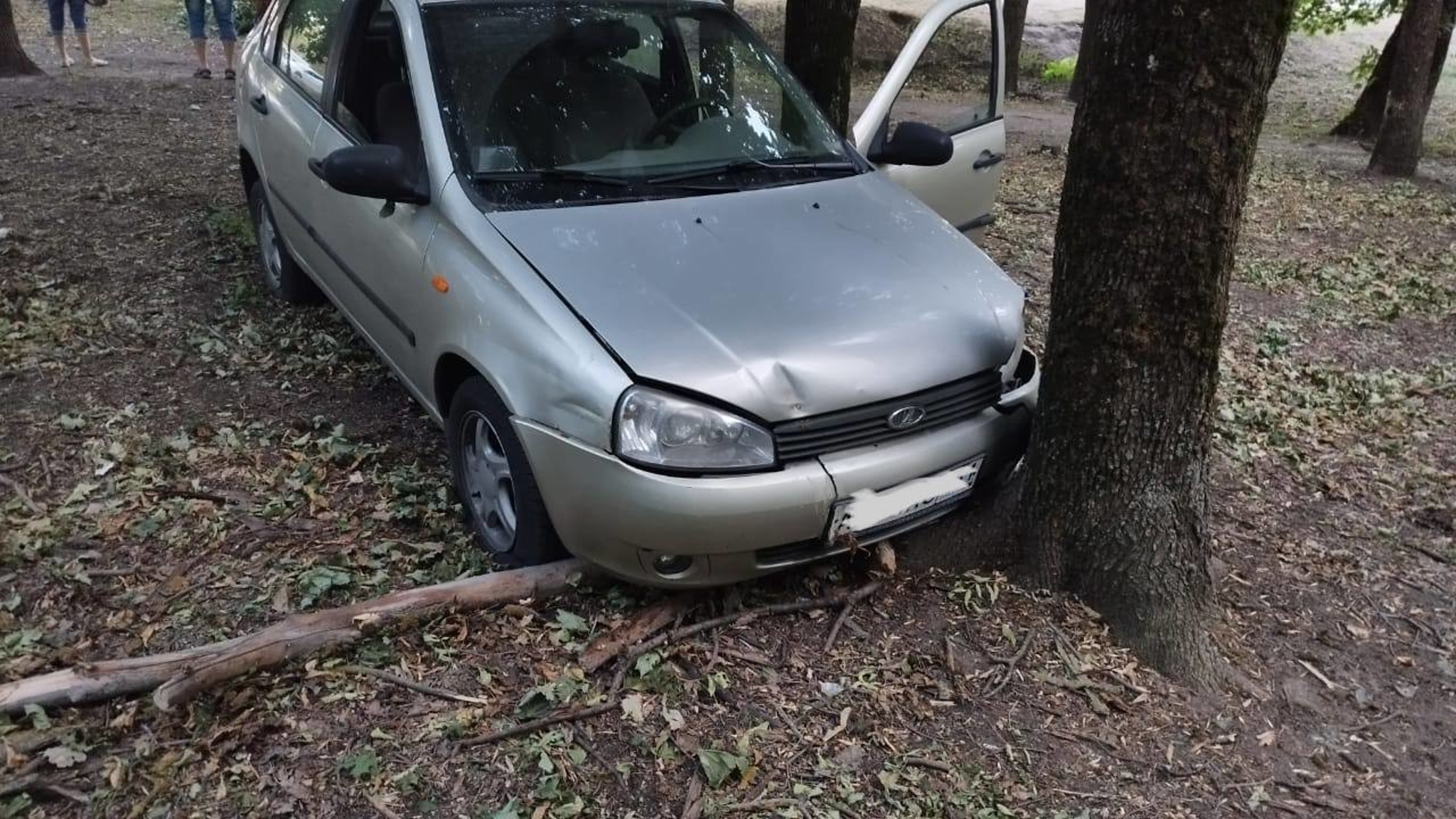 В Ростове водитель умер за рулем и врезался в дерево