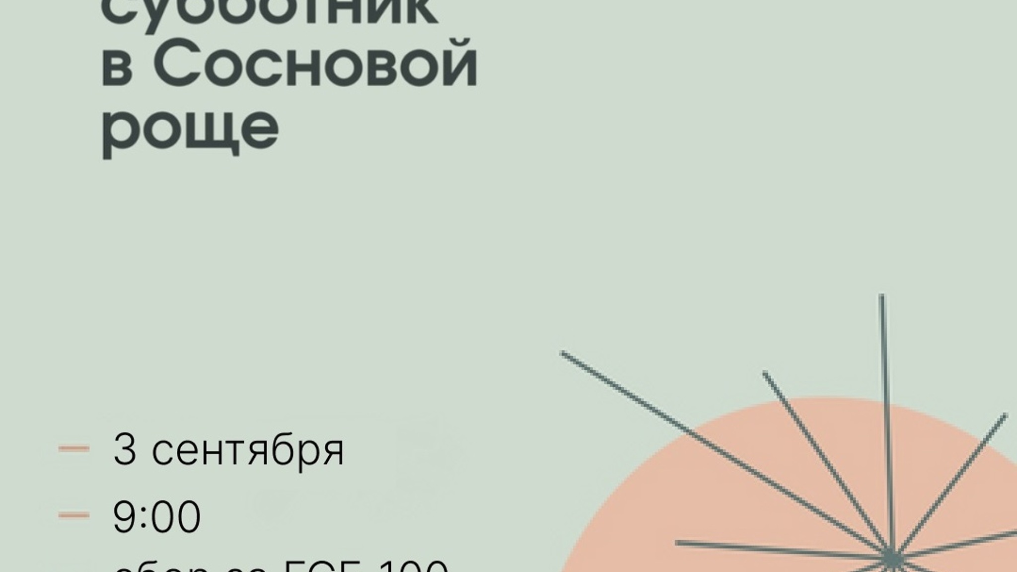 Жителей Йошкар-Олы 3 сентября ждут на субботник в Сосновой роще