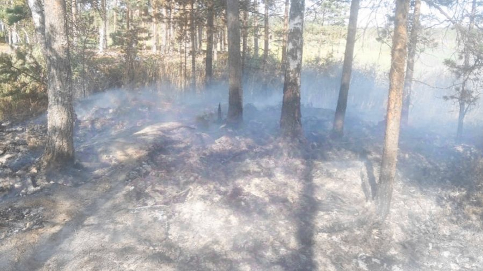 В двух районах Ярославской области горят торфяники