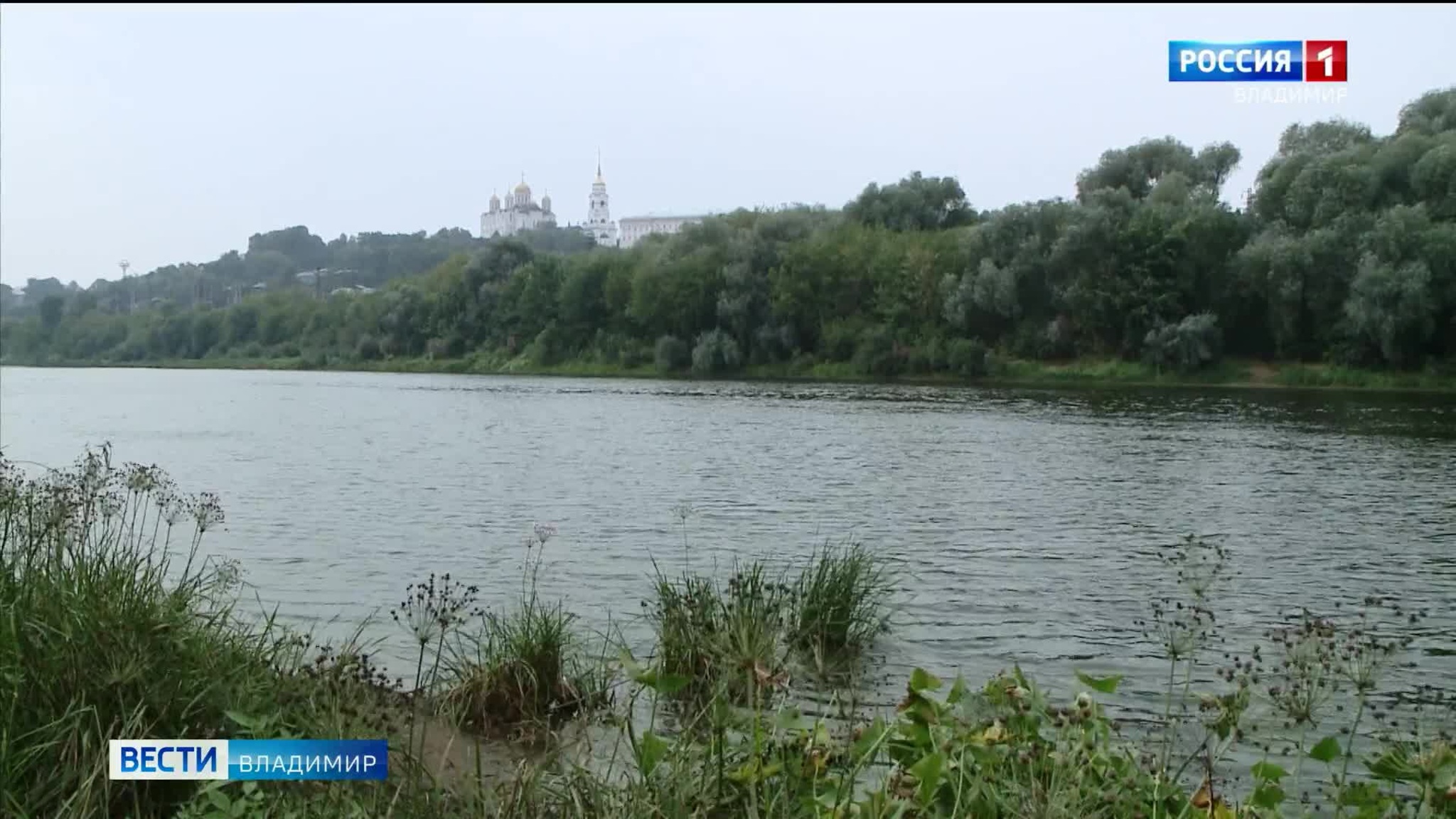 Во Владимирском регионе из-за аномальной жары река Клязьма катастрофически обмелела