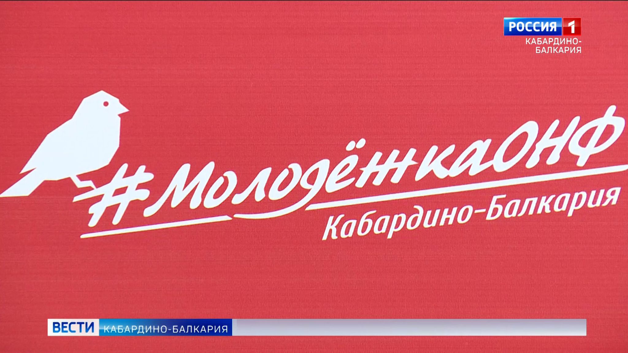 Молодежному крылу ОНФ исполнилось пять лет