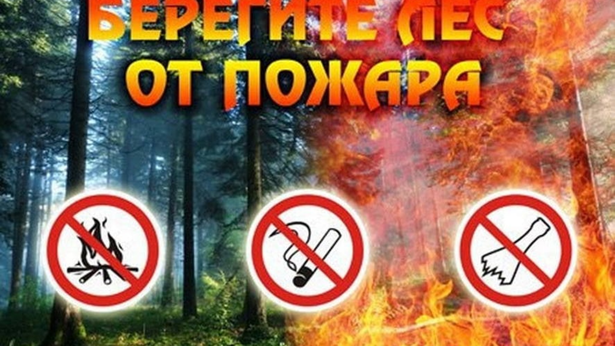 В Саратовской области продлен запрет на посещение лесов