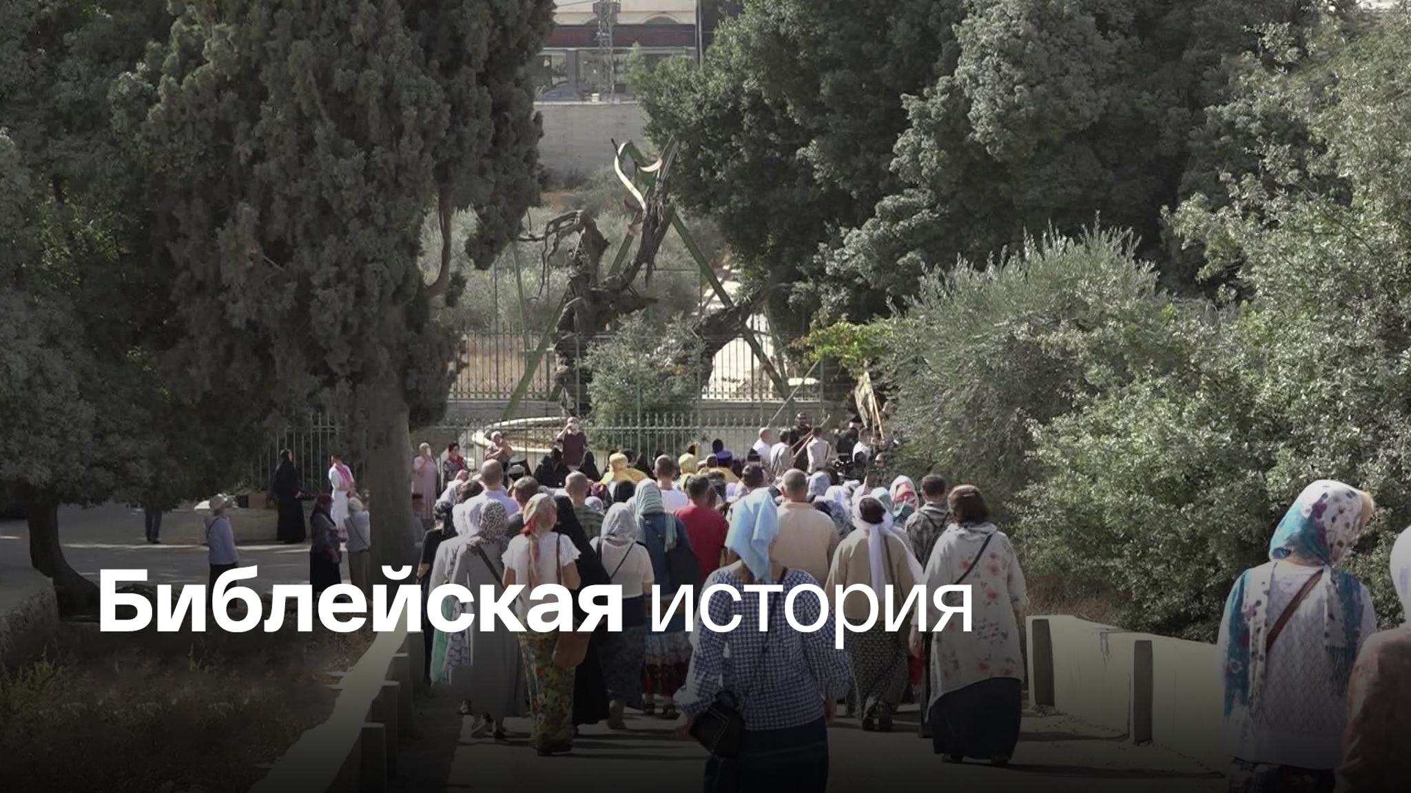 Священный дуб спасут, а заодно отодвинут конец света