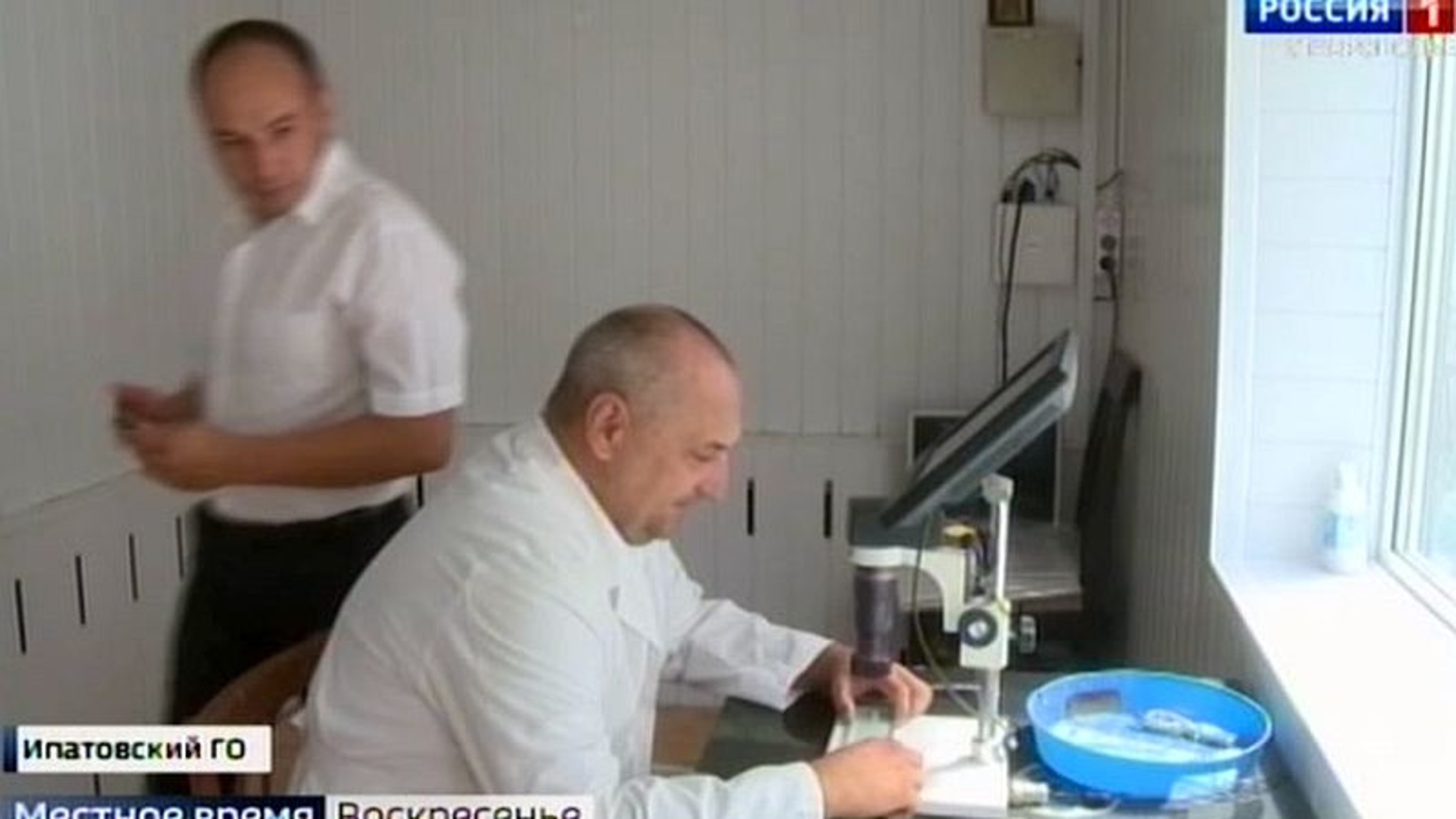 На Ставрополье новые правила по убою скота вызывают вопросы