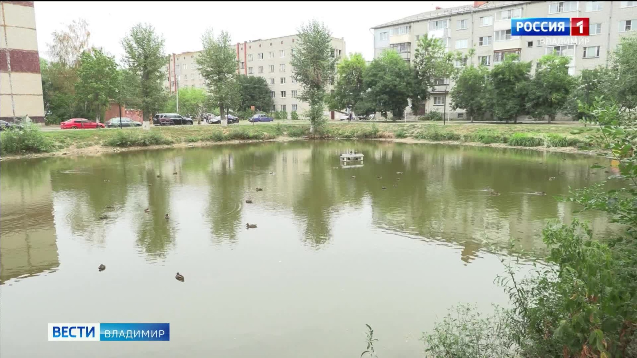 Во Владимире у Платоновского пруда оборудуют спортивную площадку