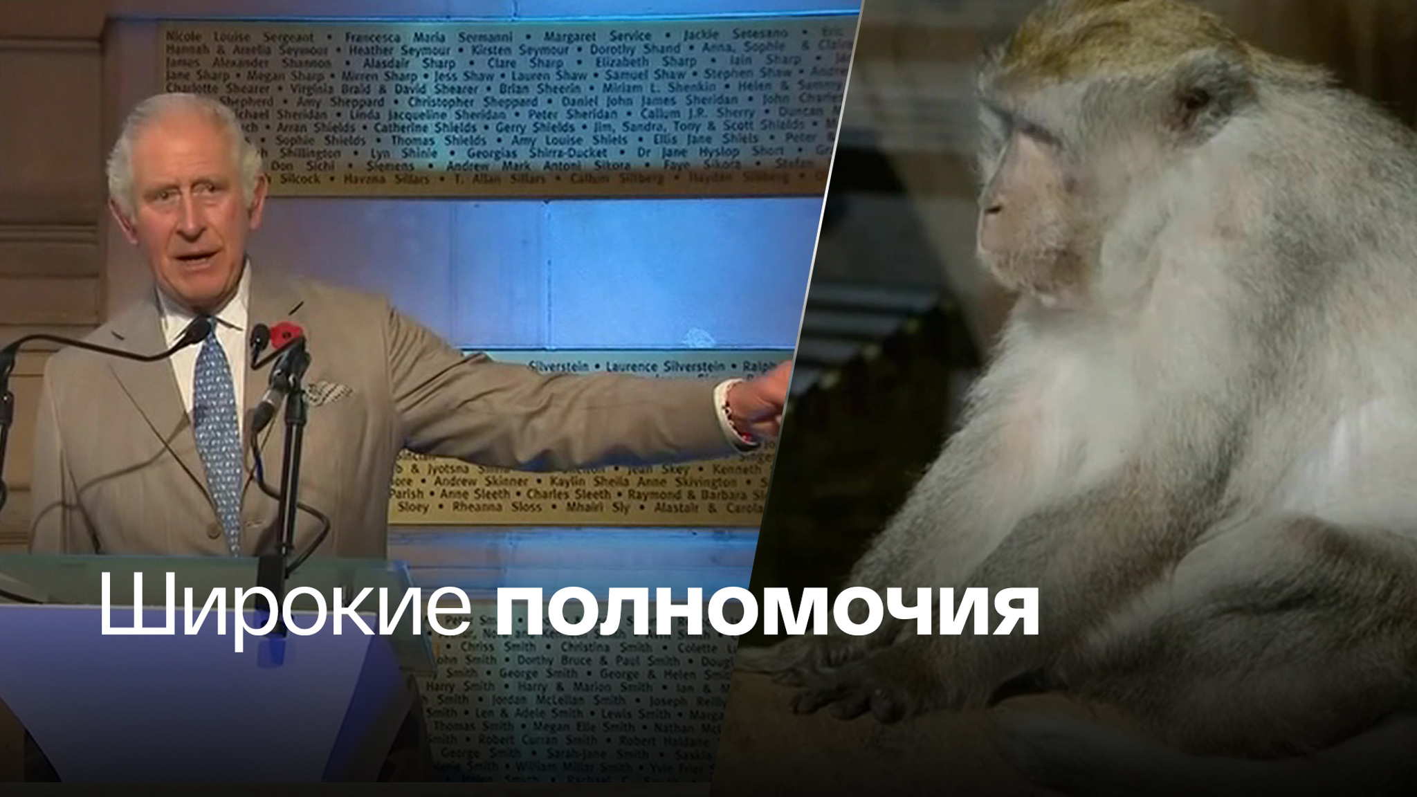 Зеленая повестка, Карл!