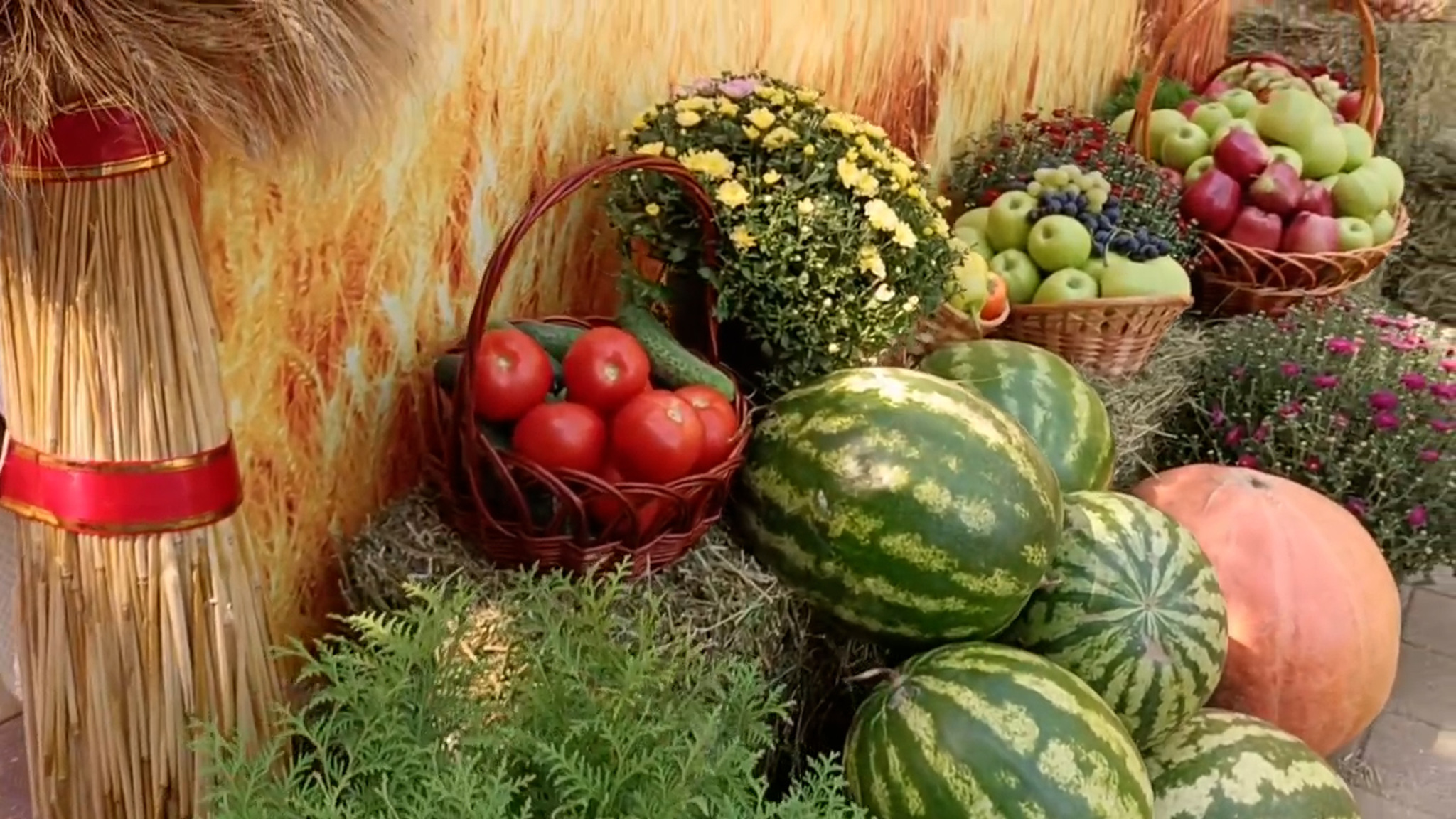 Крупнейшие предприятия представили продукцию на выставке "Кабардино-Балкария сегодня"