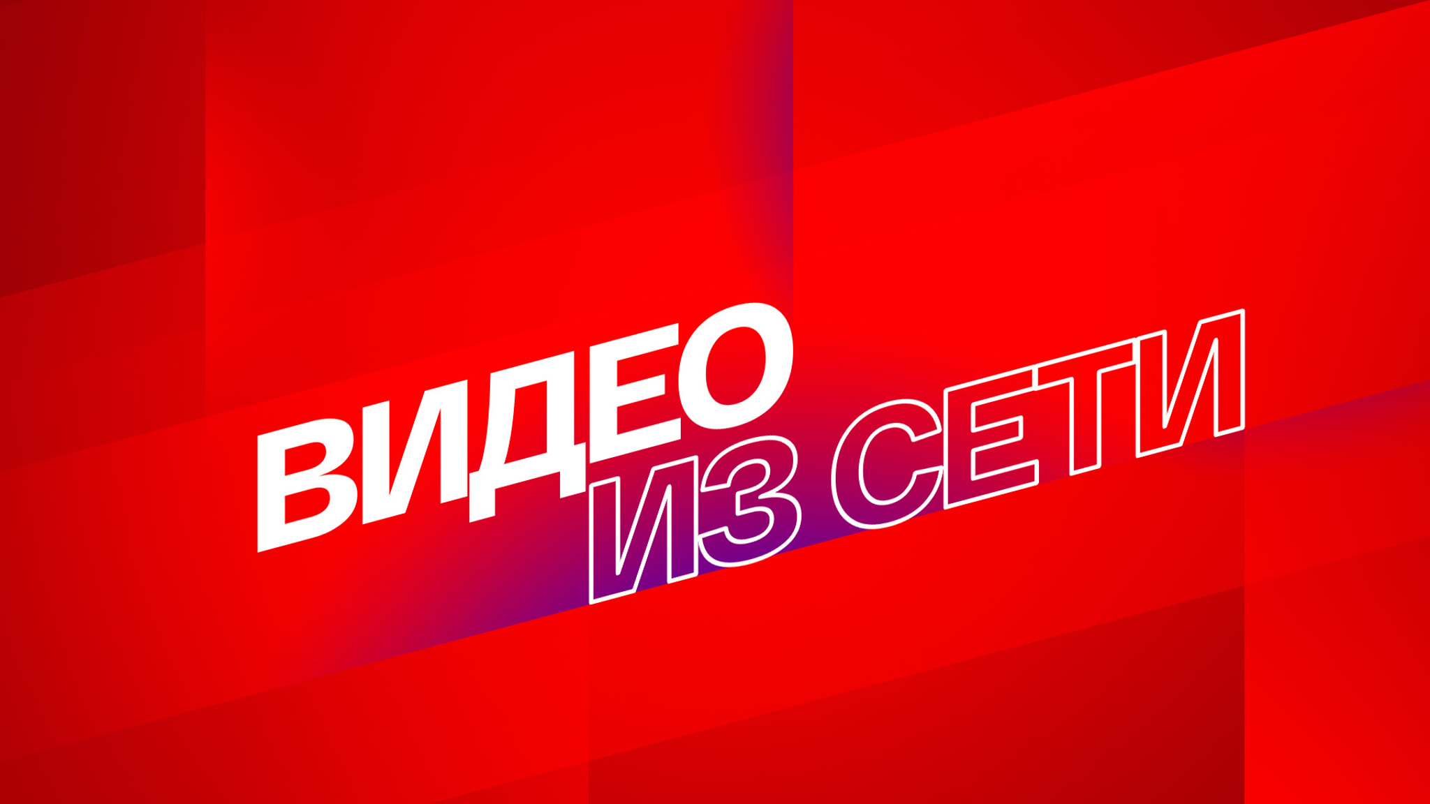 Видео из Сети