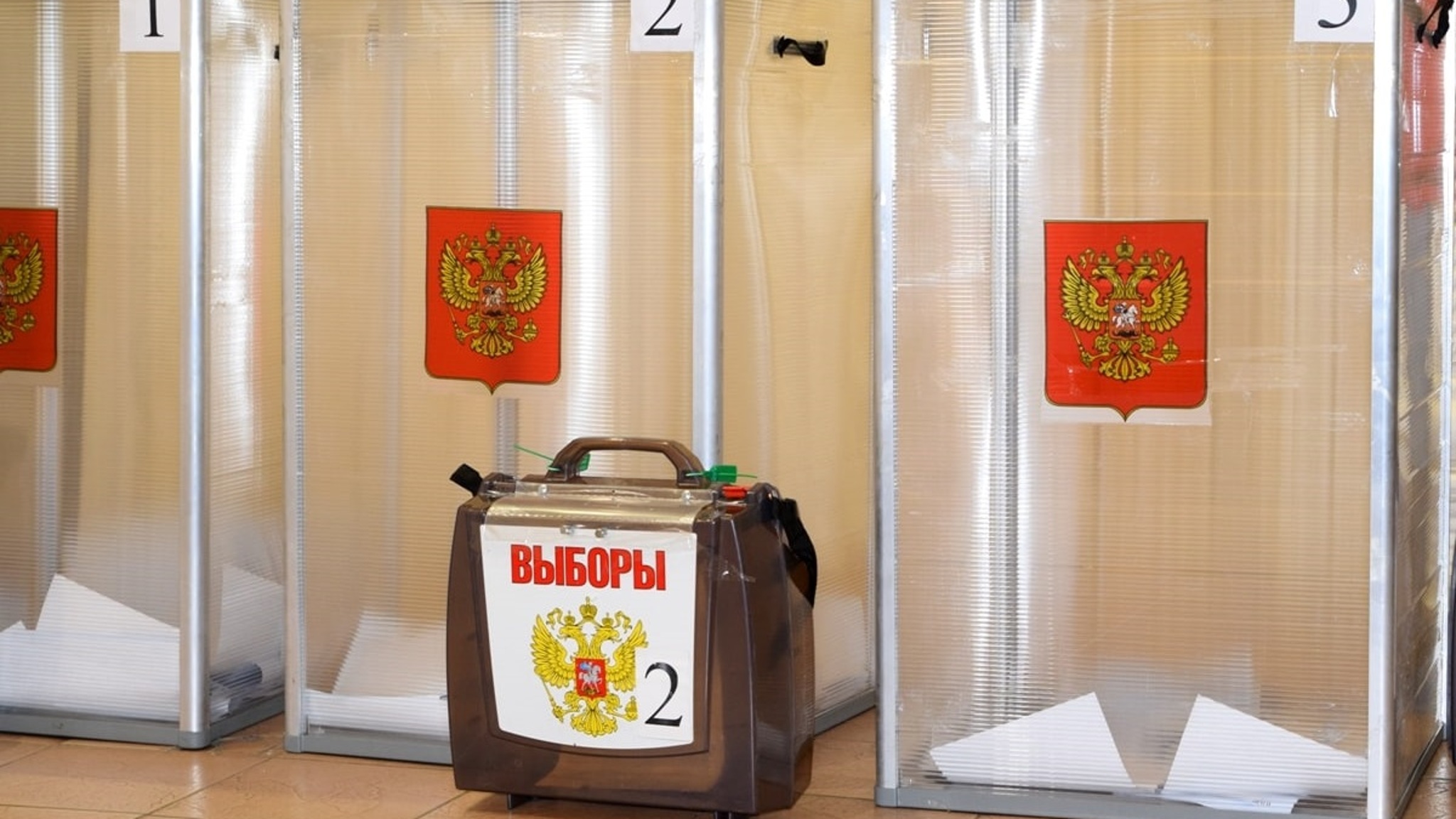 Явка на выборах губернатора Владимирской области составила 29,5 процентов