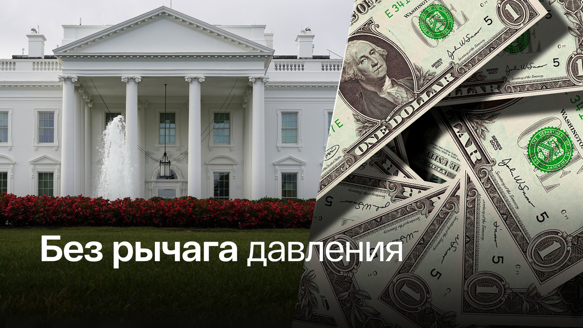 Европа готовится к зиме, запасая подорожавшие дрова