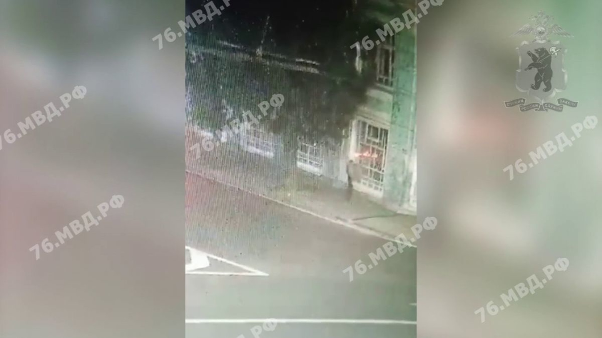 В Ярославле нашли похитителя скульптуры гаргульи с здания в центре города