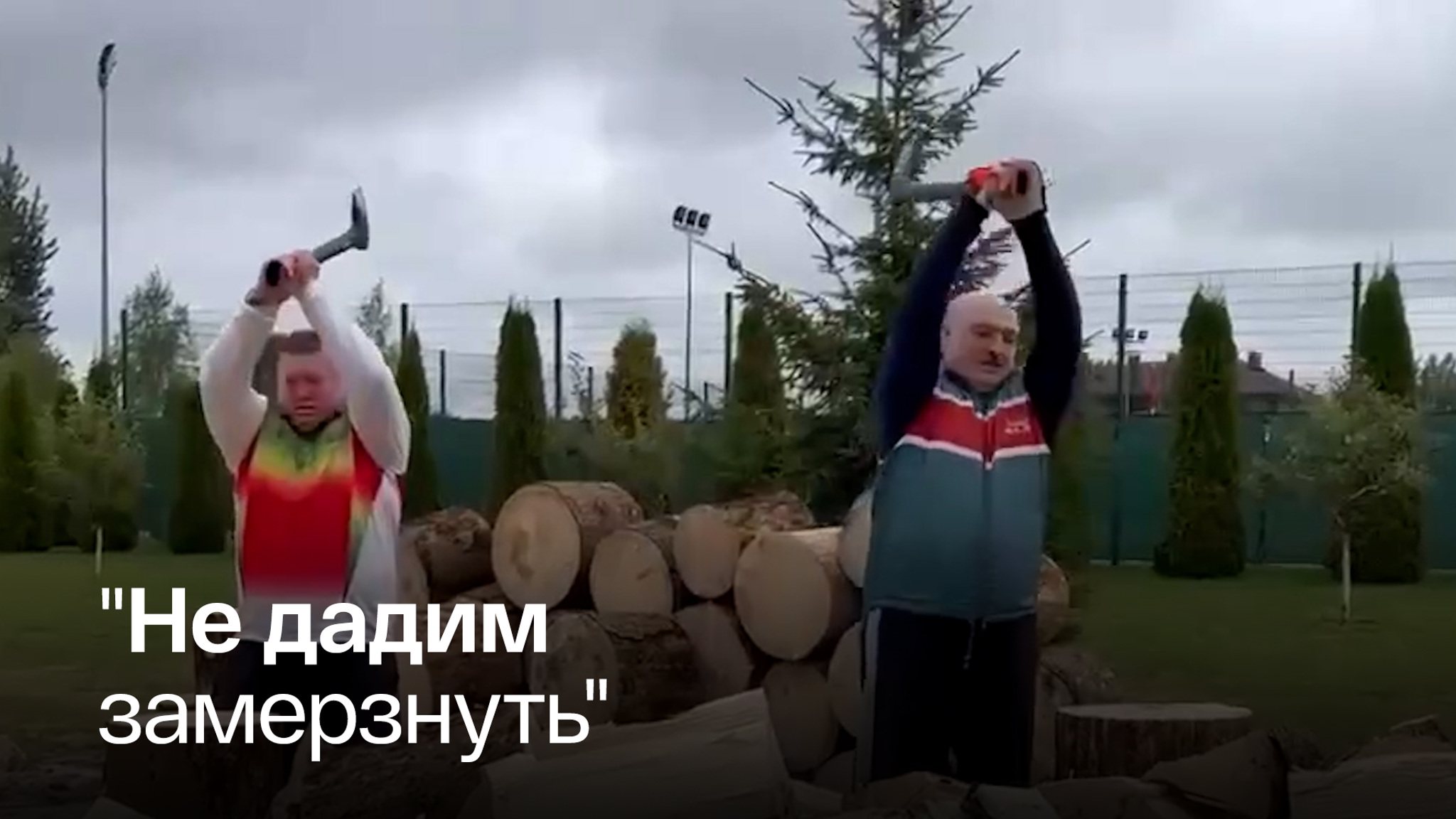 Лукашенко пообещал помочь Европе дровами