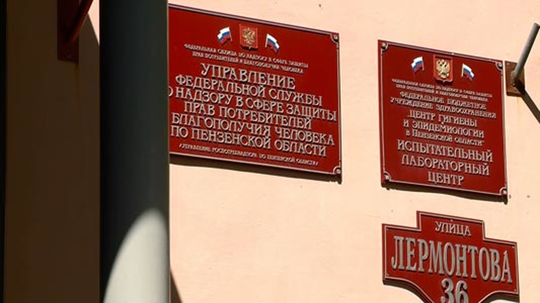 В управлении Роспотребнадзора рассказали, какие ягоды полезны в сентябре