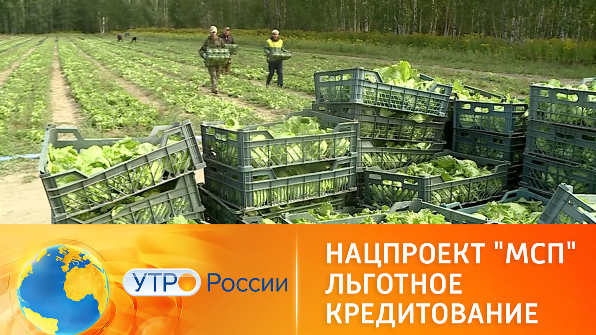 Нацпроект "Малое и среднее предпринимательство". Льготное кредитование