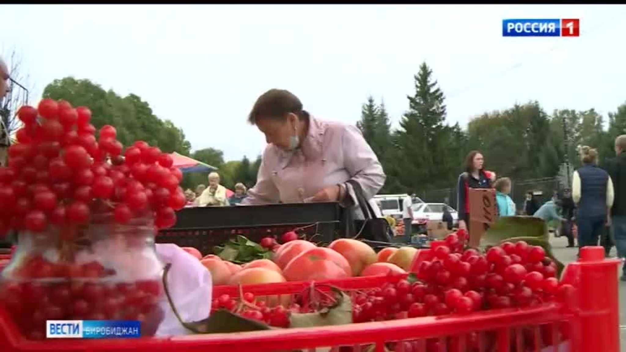 Традиционная сельскохозяйственная ярмарка начала работу  в Биробиджане