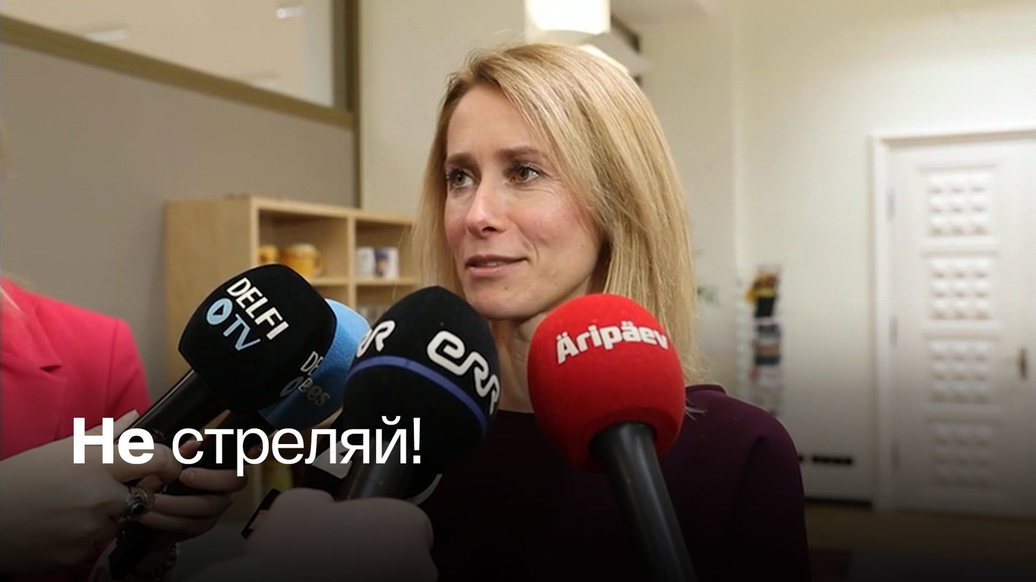 Премьер Эстонии испугалась русских с ружьями