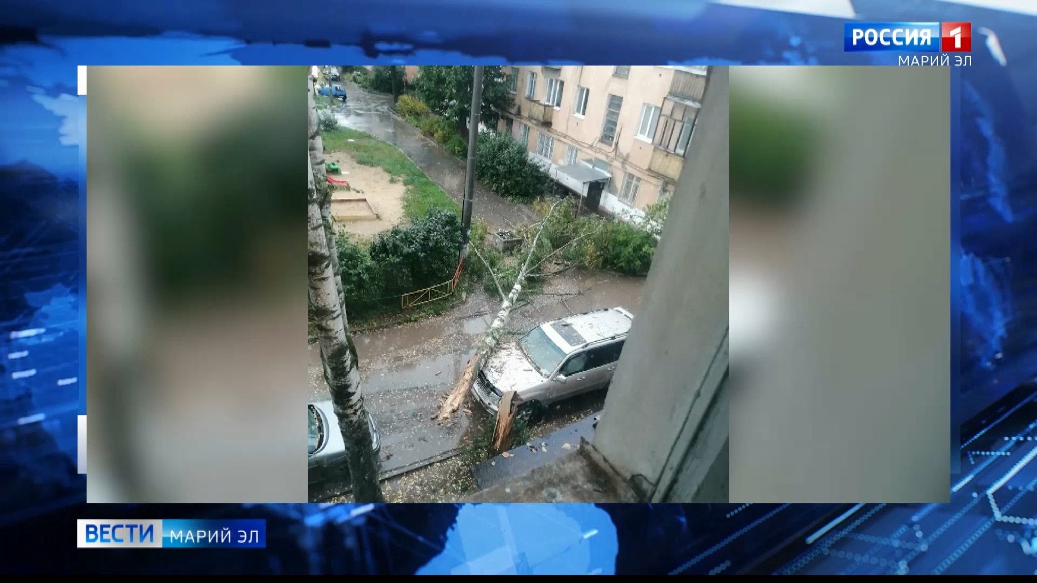 Поваленное ветром дерево повредило автомобиль в Йошкар-Оле