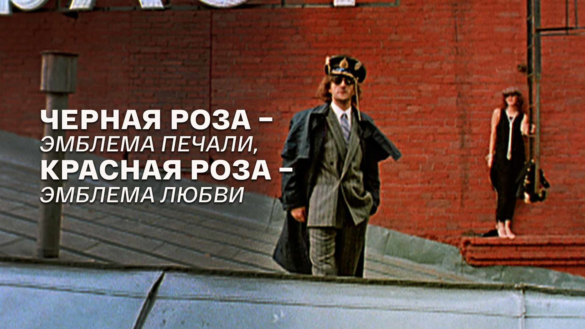 Черная роза – эмблема печали, красная роза – эмблема любви