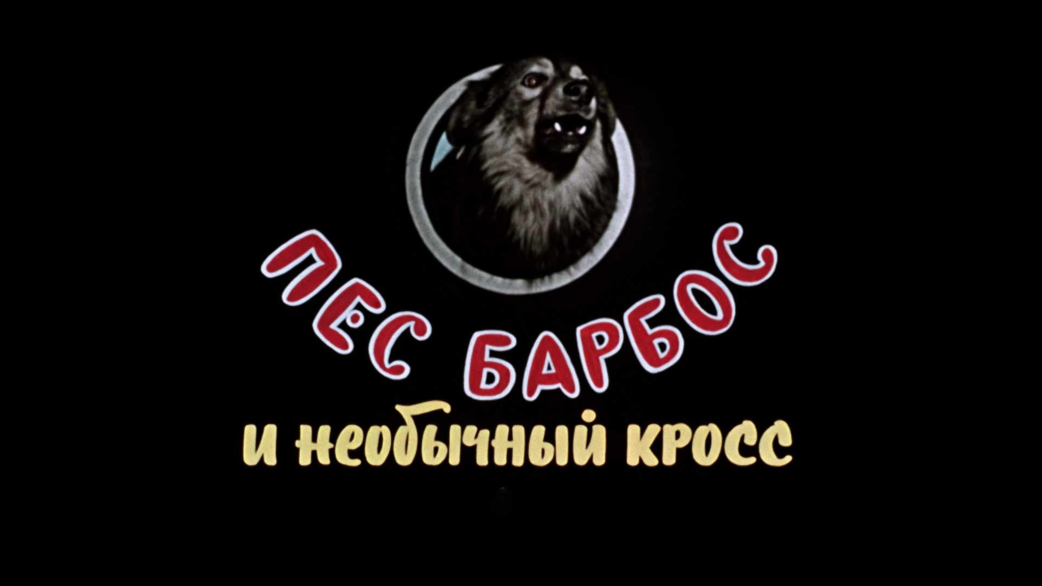 Пес Барбос и необычный кросс