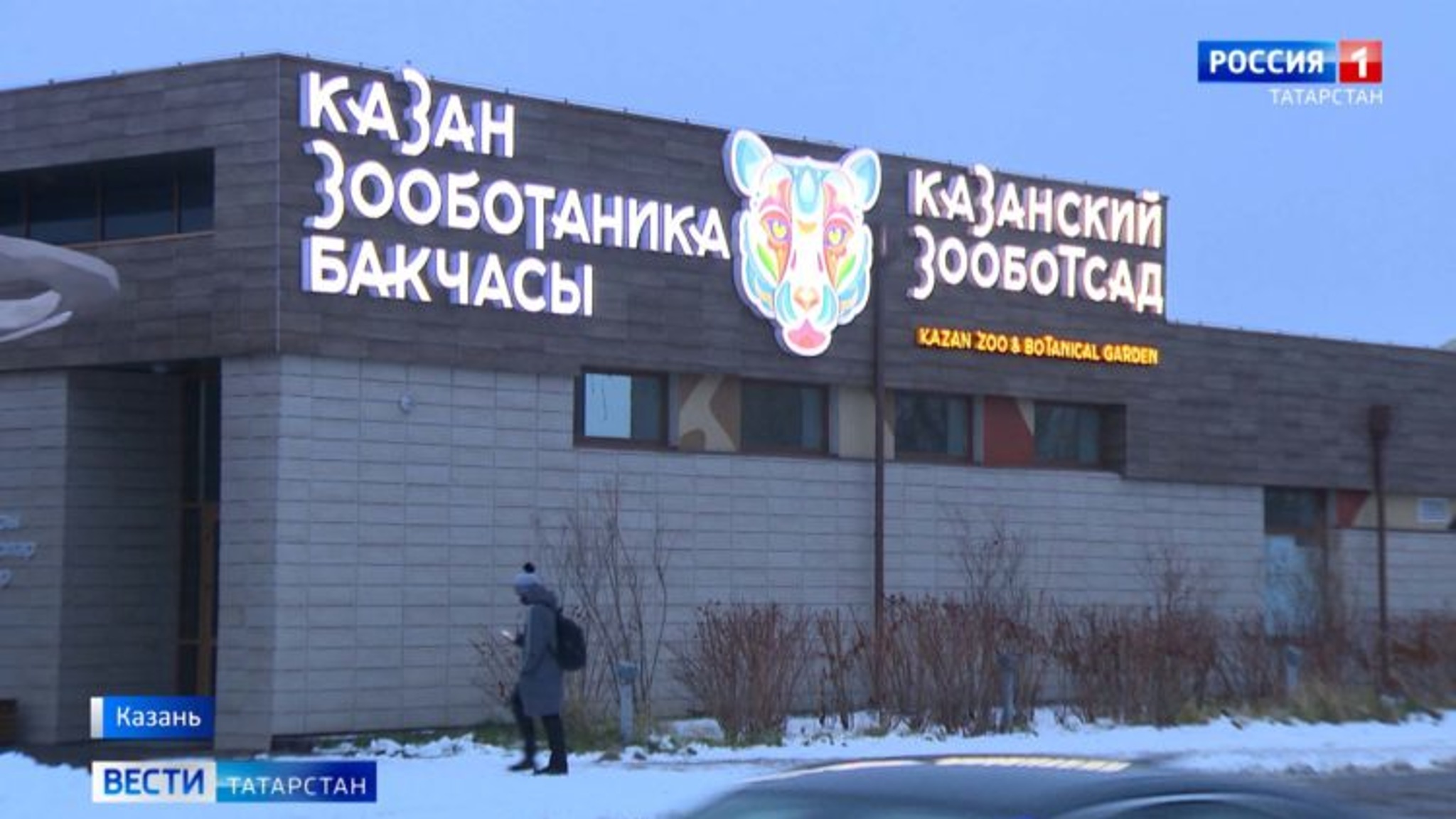 Стало известно имя детеныша антилоп из Казанского зооботсада
