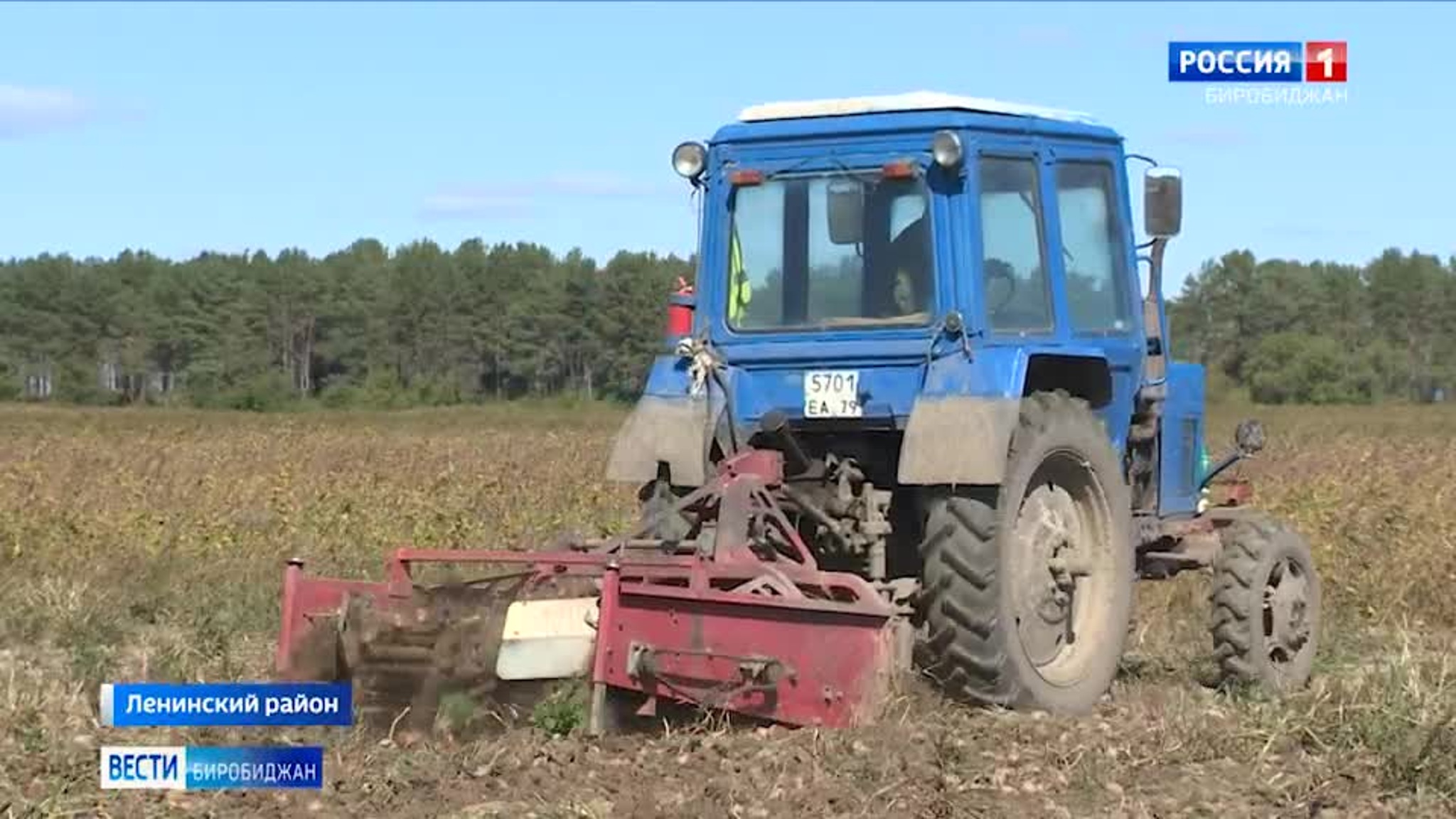 В ЕАО почти завершили уборку ранних зерновых культур