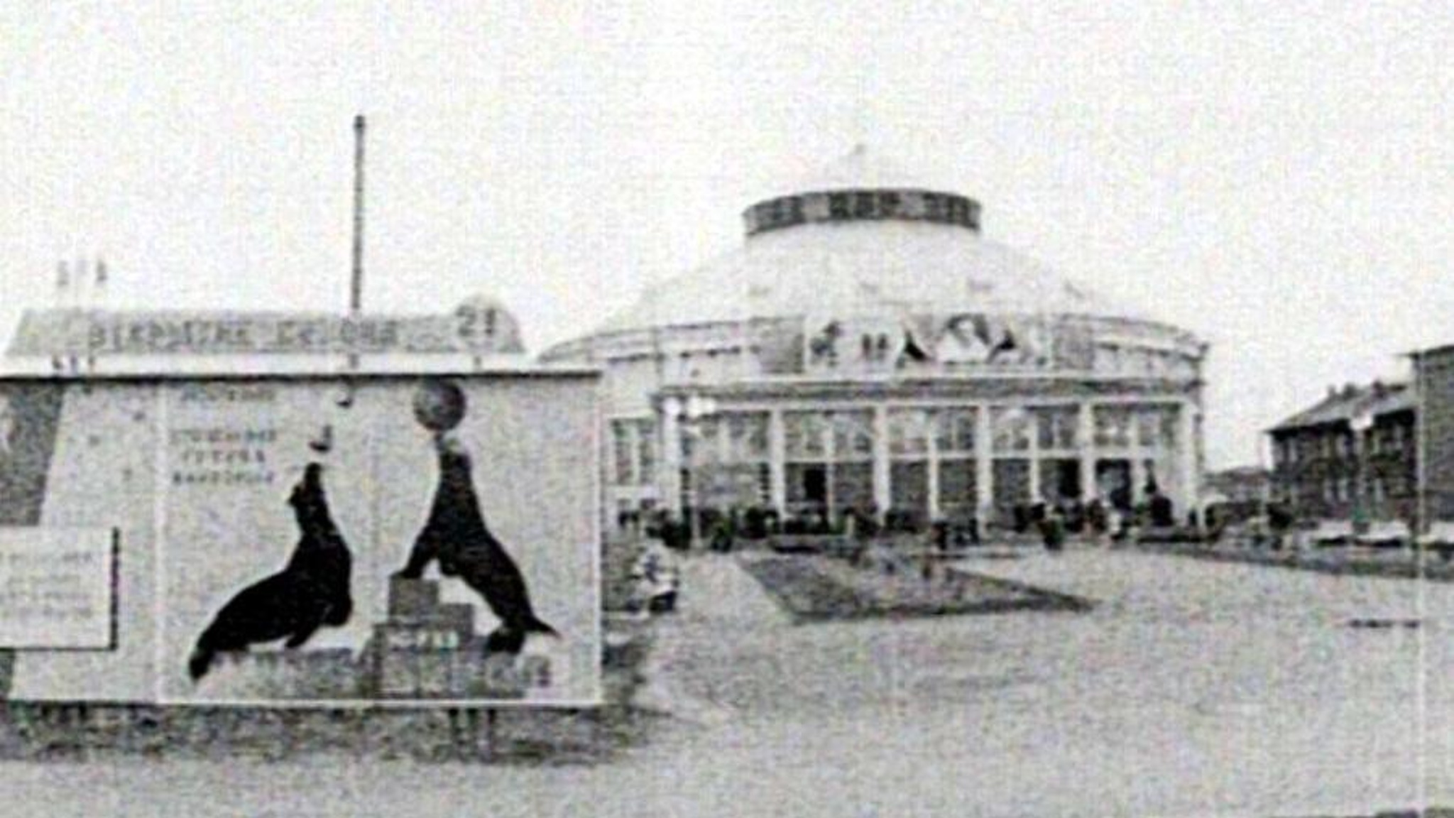 Ровно 60 лет назад в Архангельске появился цирк