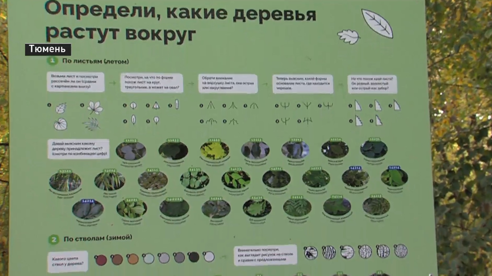Новый образовательный экомаршрут открылся в Тюмени к 70-летию юннатского движения Тюменской области